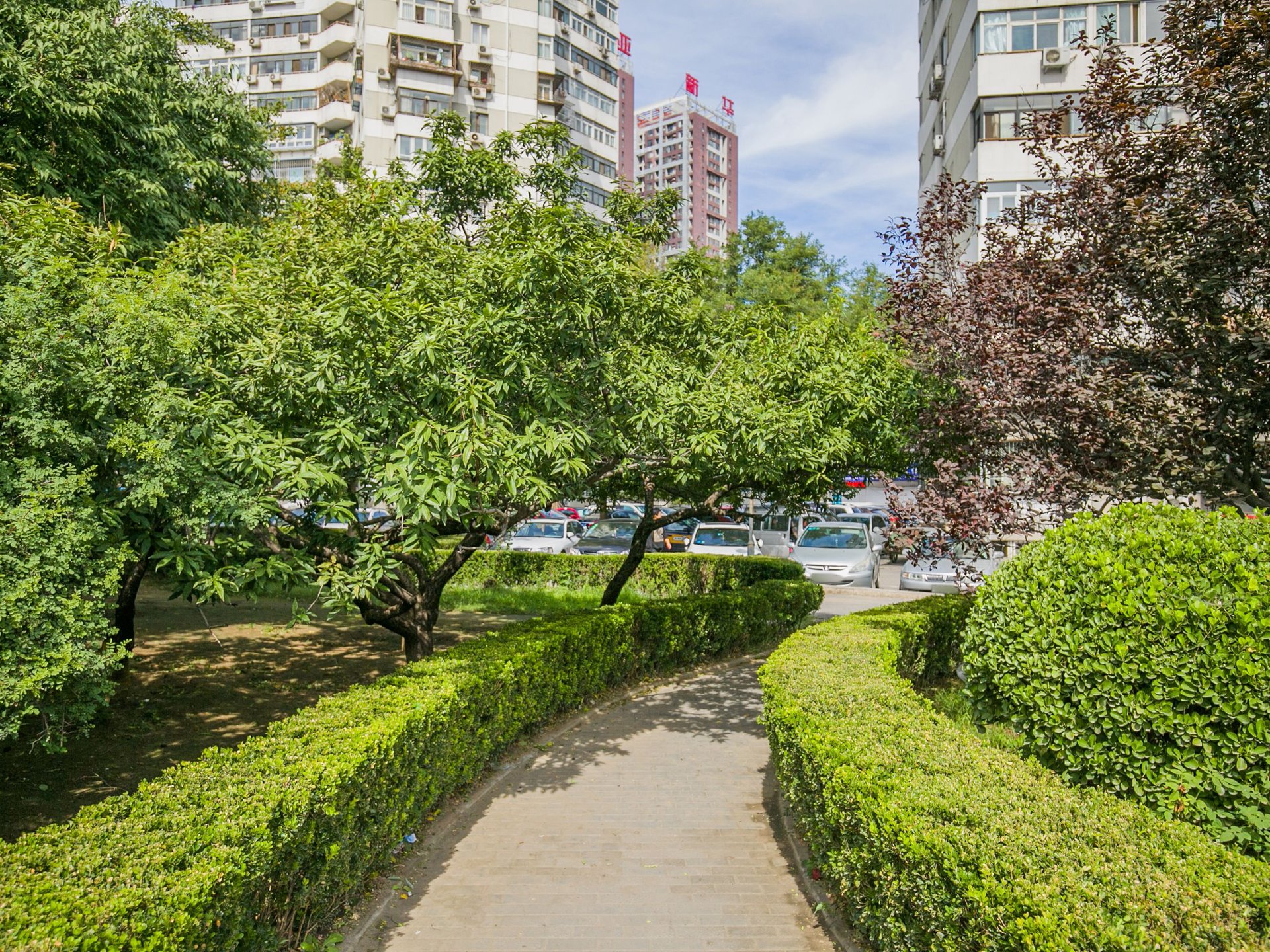 望花路西里 environment