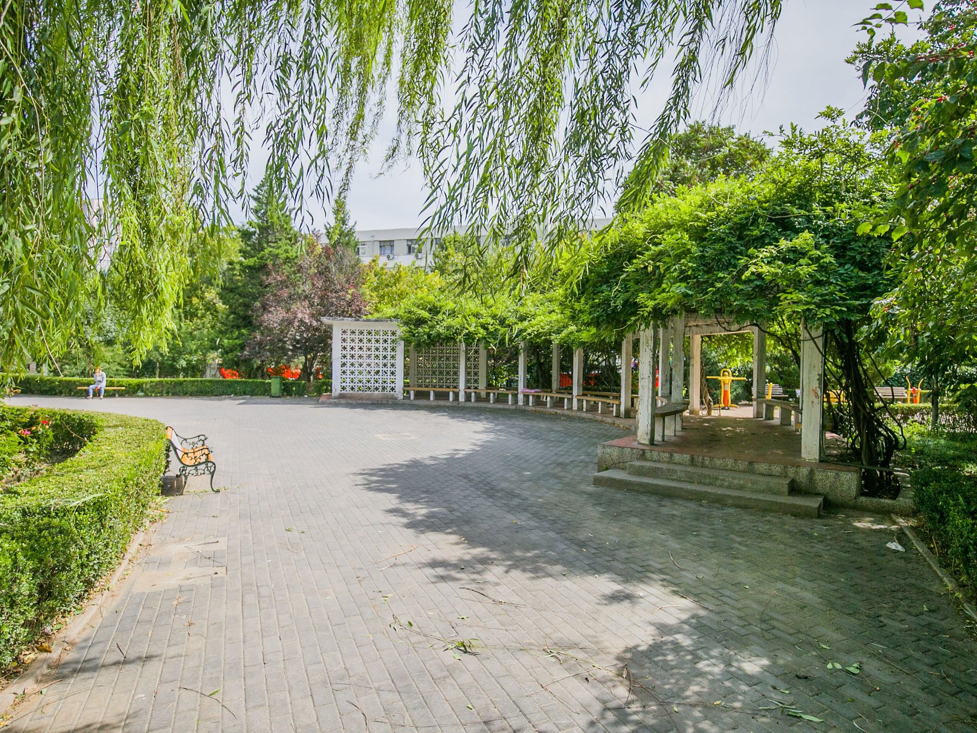 望花路西里 environment