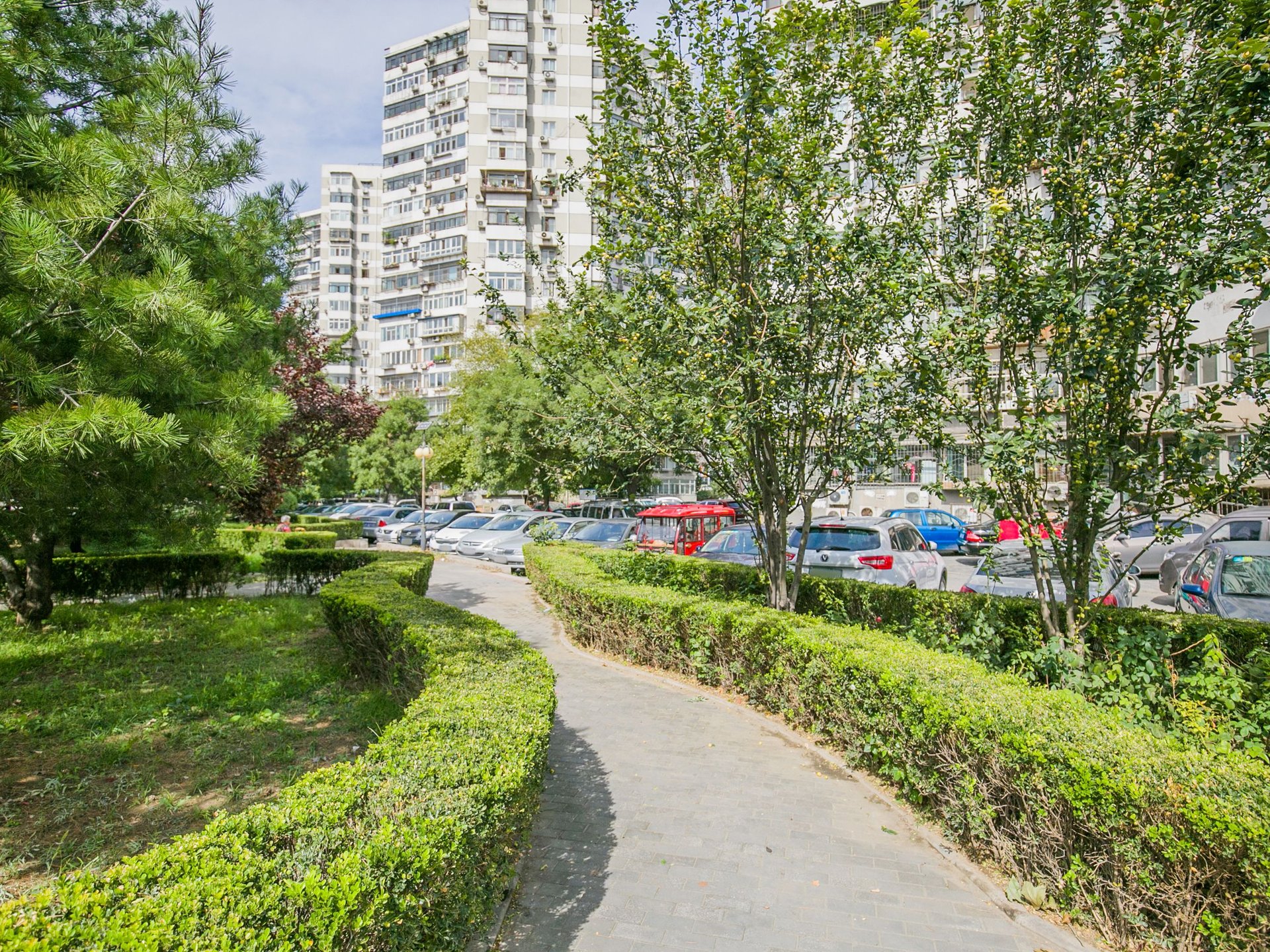 望花路西里 environment