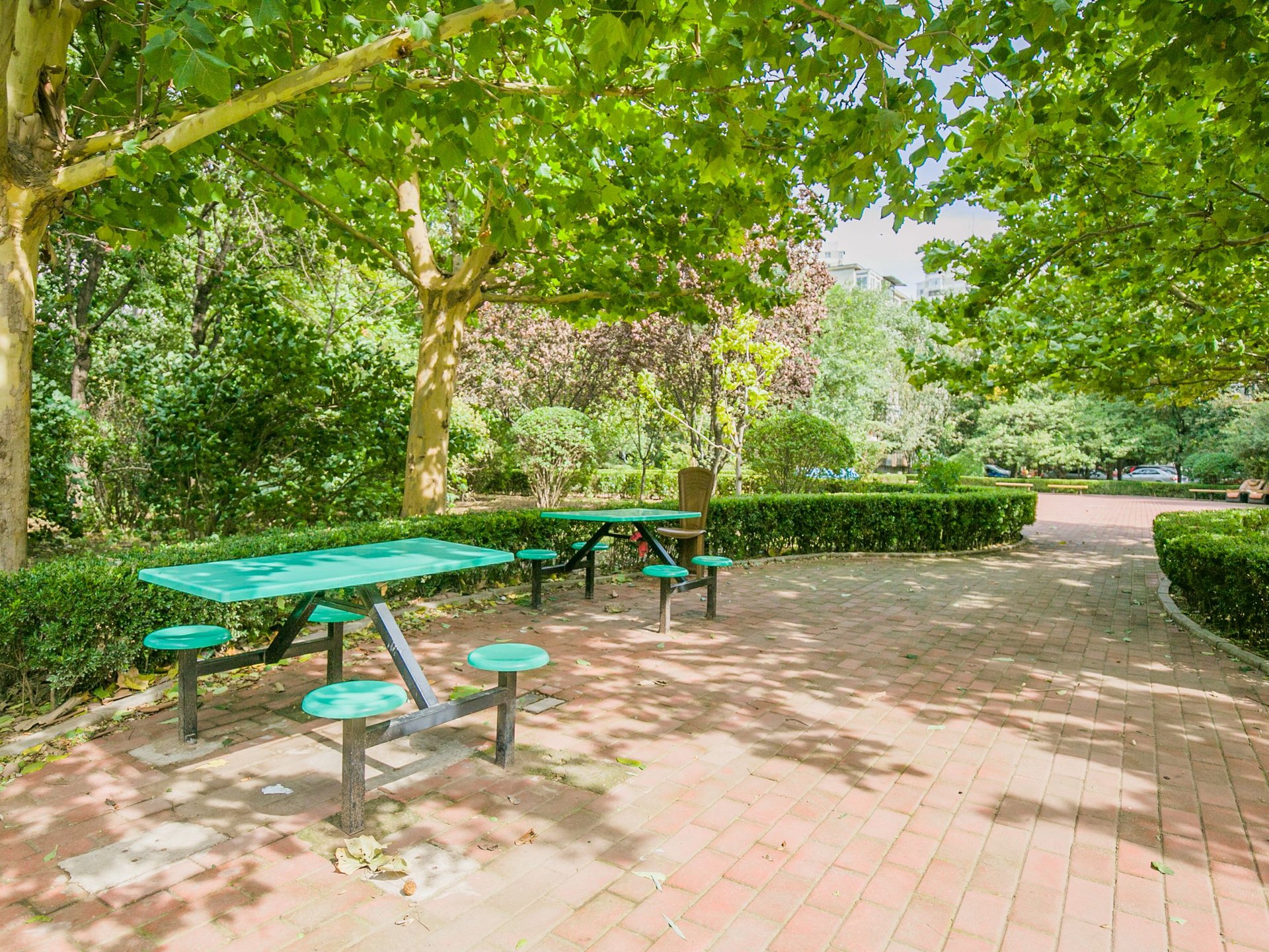 望花路西里 environment