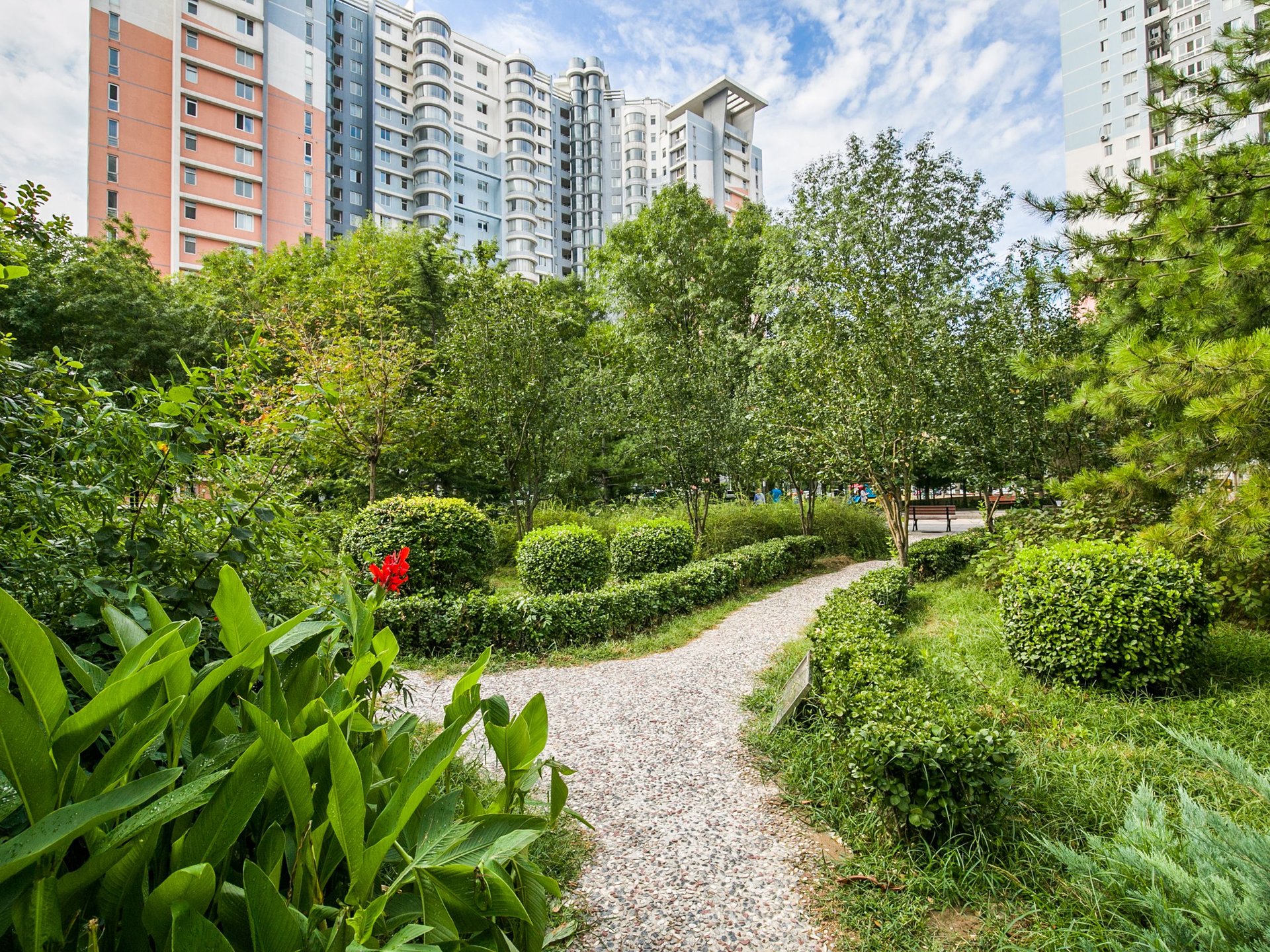 望京花园东区 environment