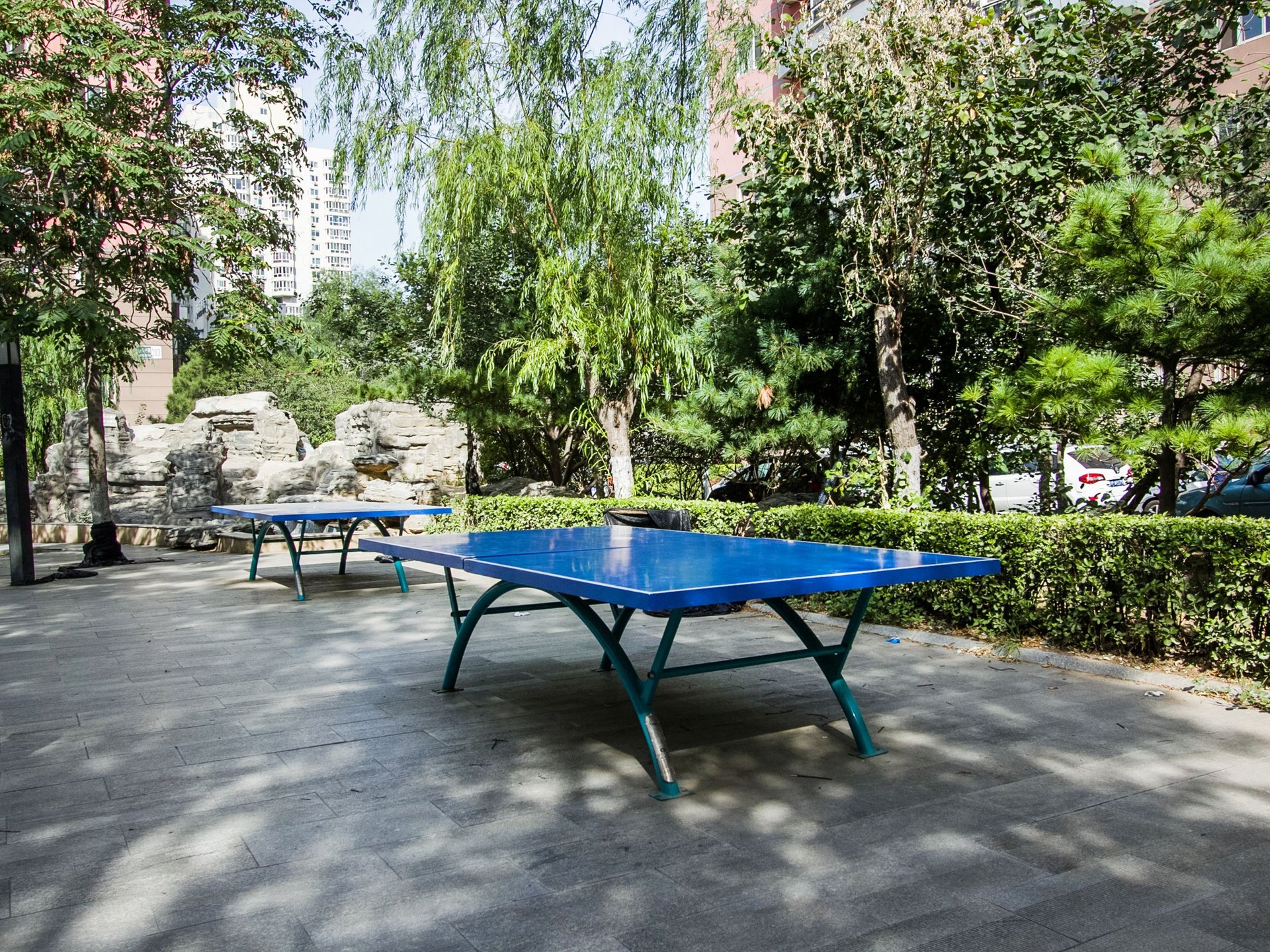 望京花园东区 environment