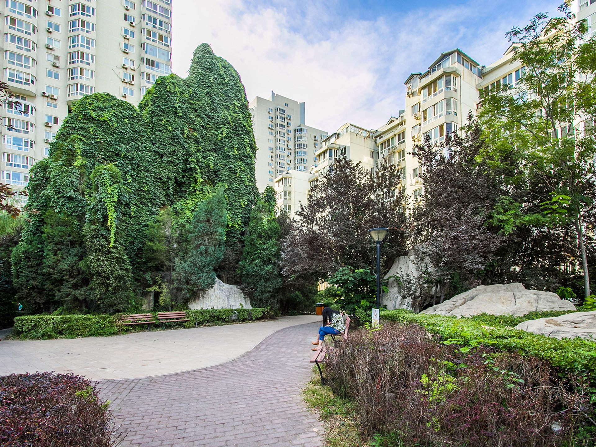 望京花园西区 environment