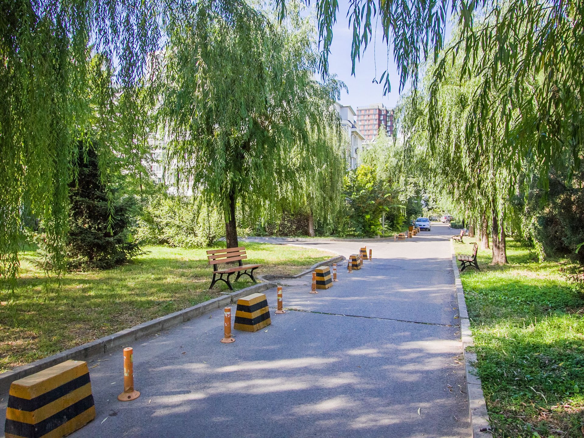 望京花园西区 environment