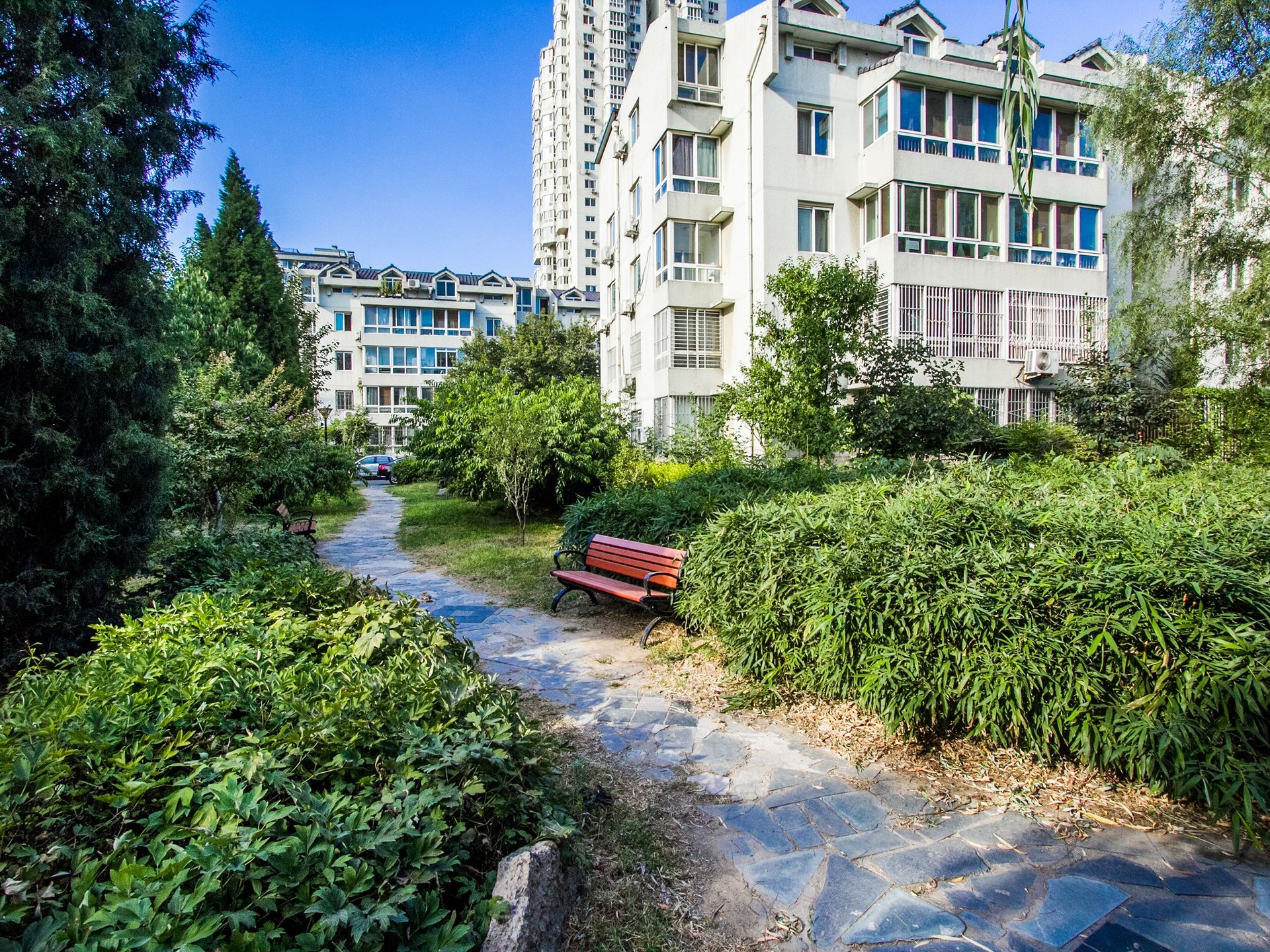 望京花园西区 environment