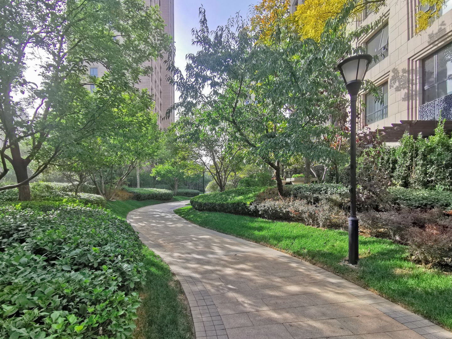 望京金茂府 environment