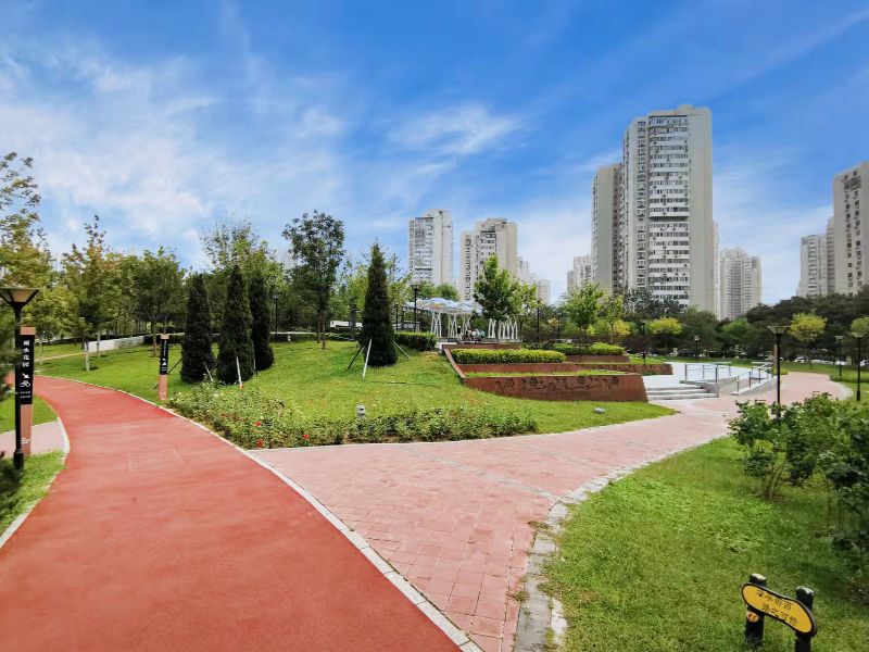 望京西园三区 environment