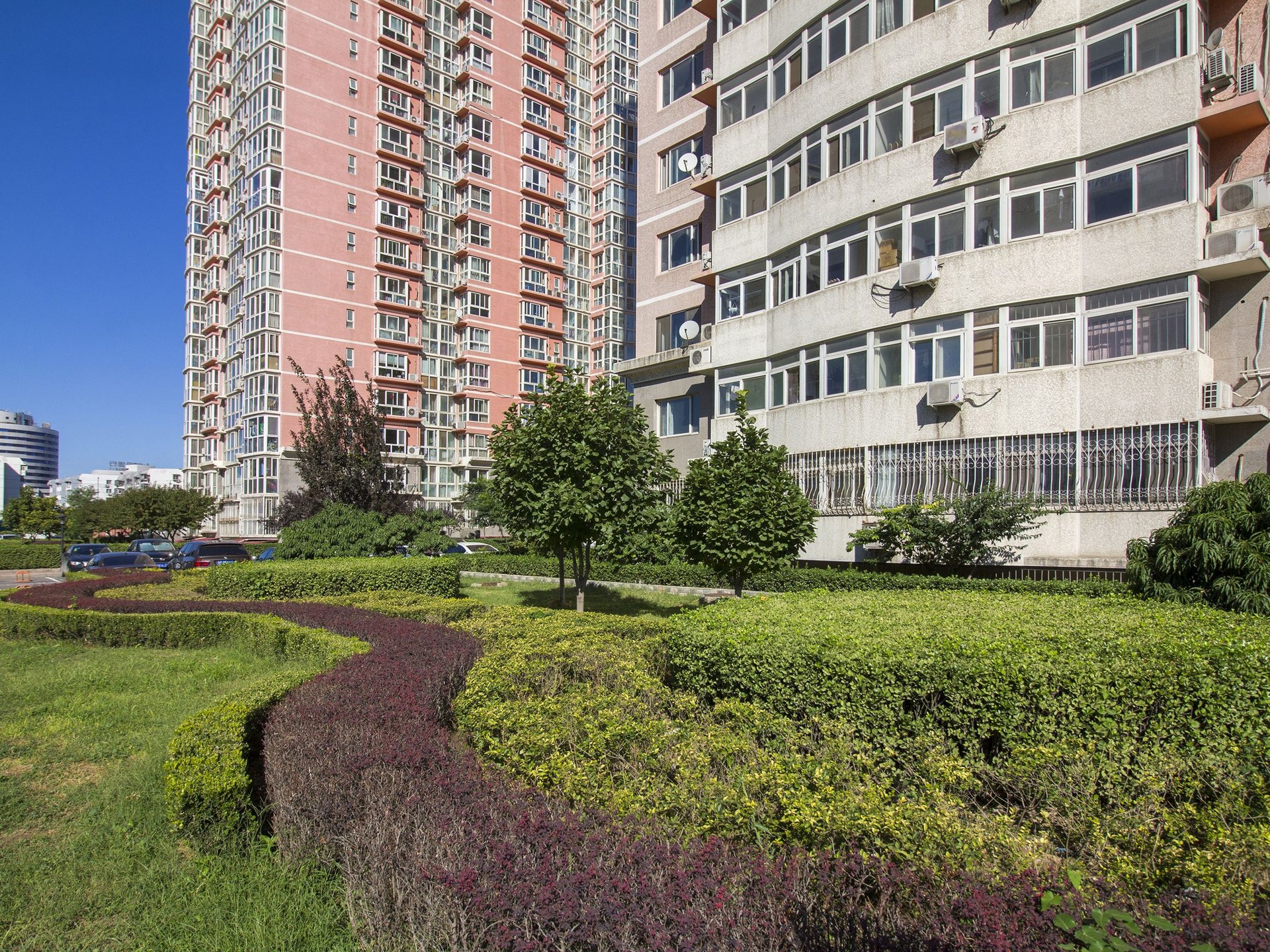 望园东里 environment