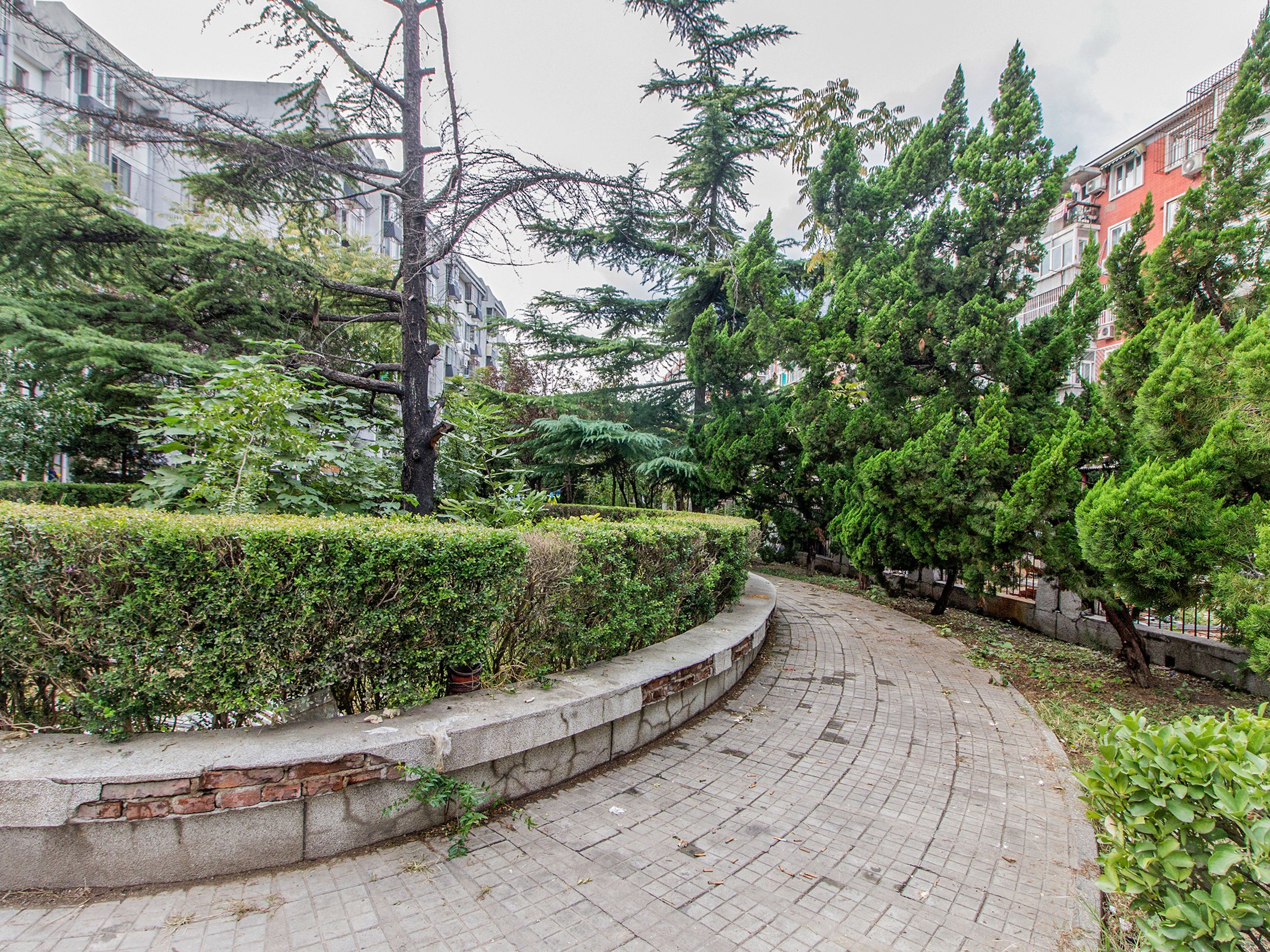 望园西里 environment