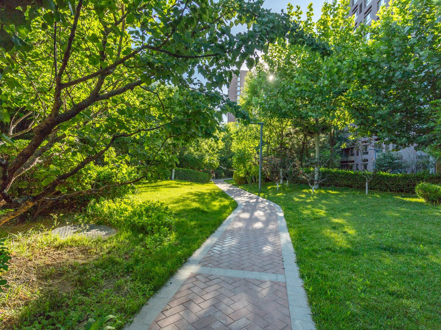 万科金域东郡 environment