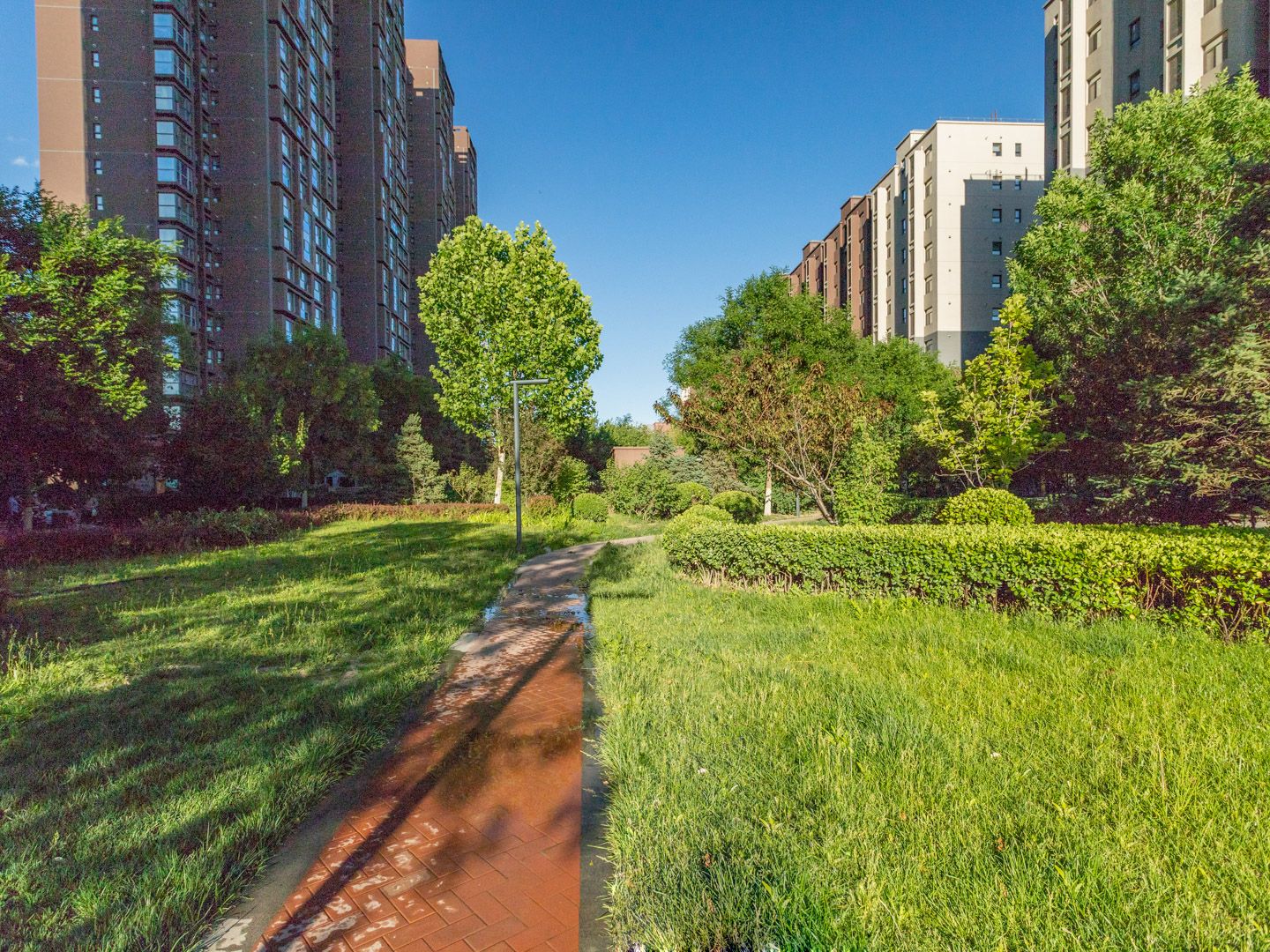 万科金域东郡 environment