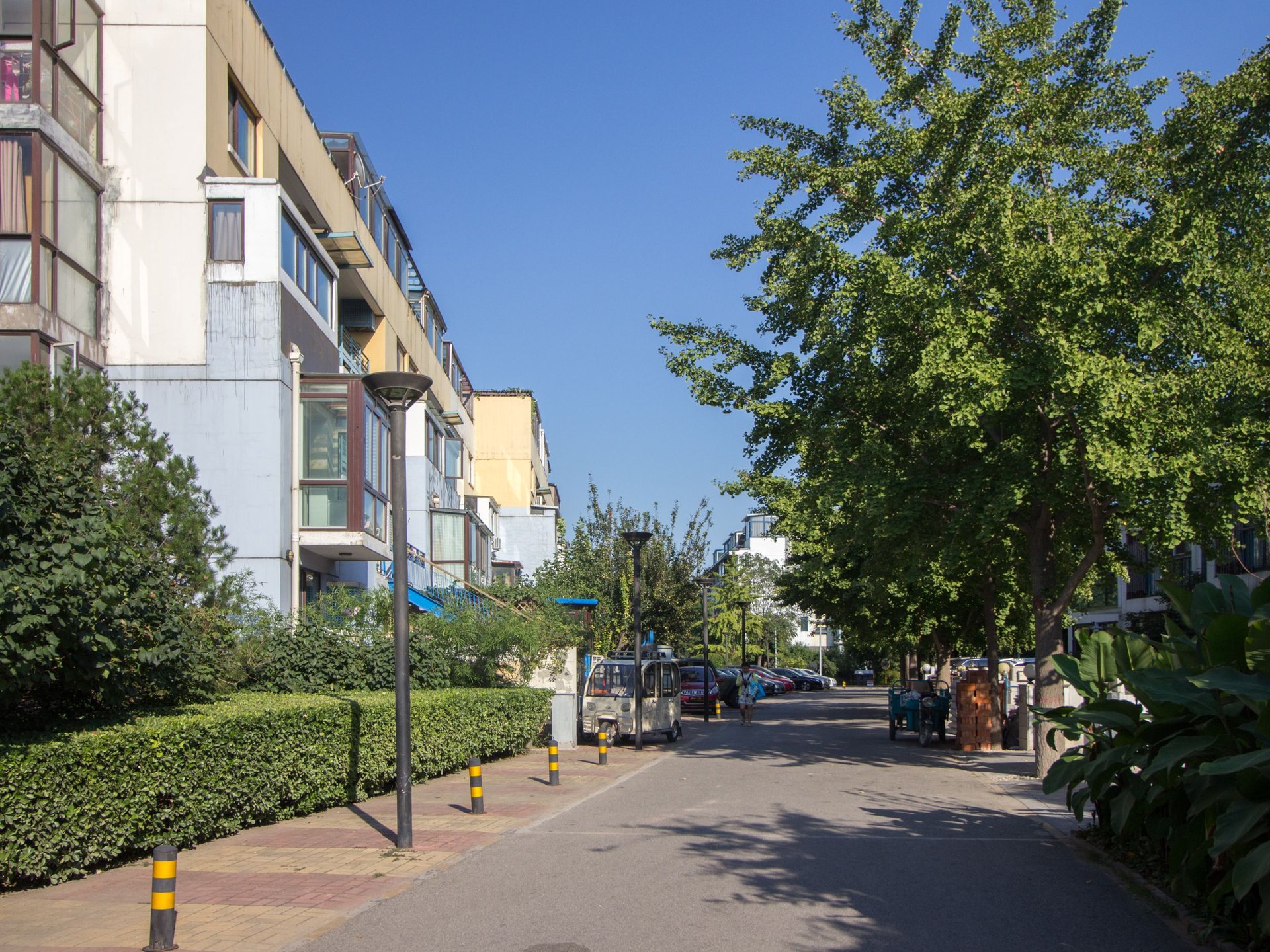 万科青青家园 environment