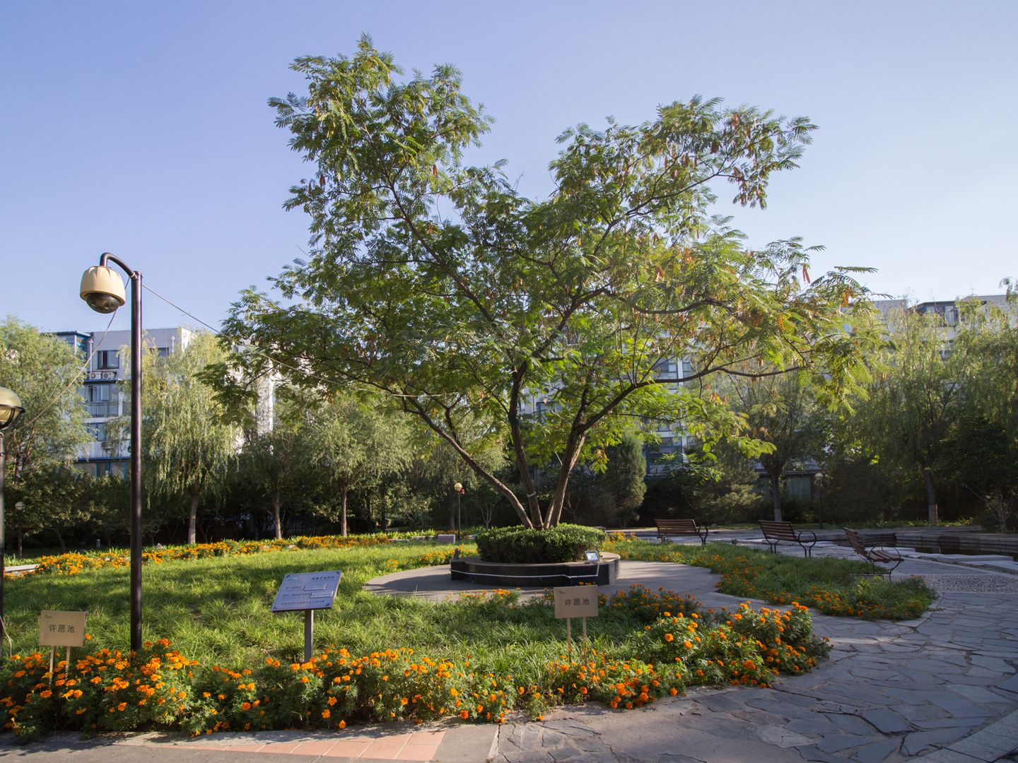 万科青青家园 environment