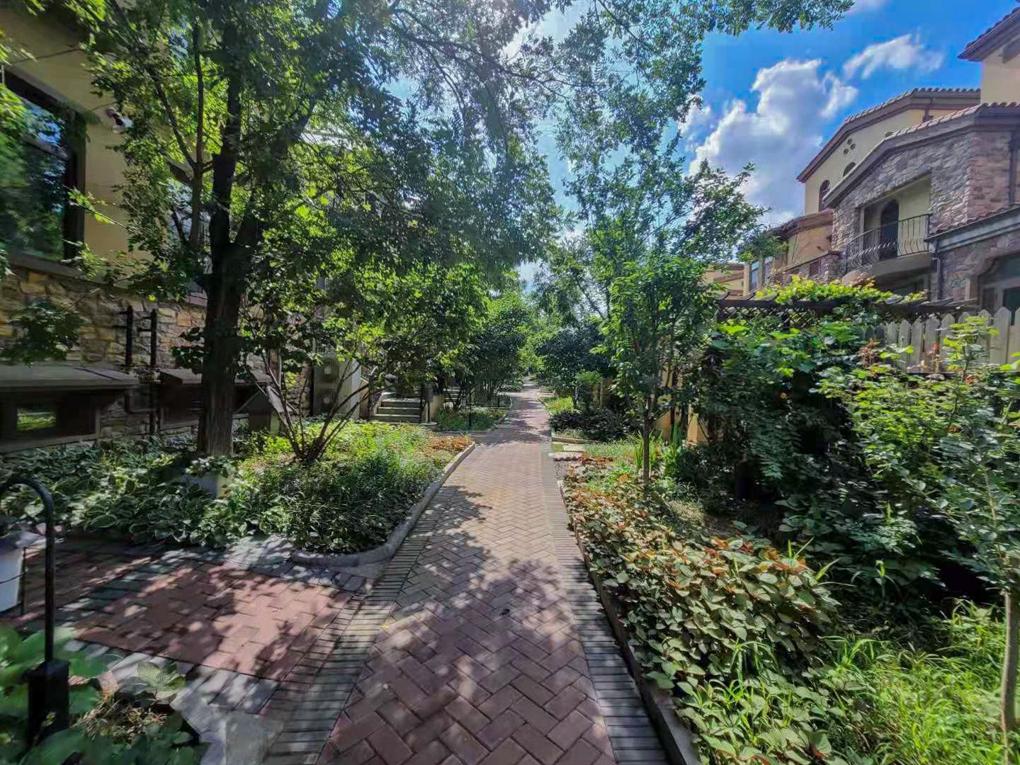 万通龙山逸墅 environment