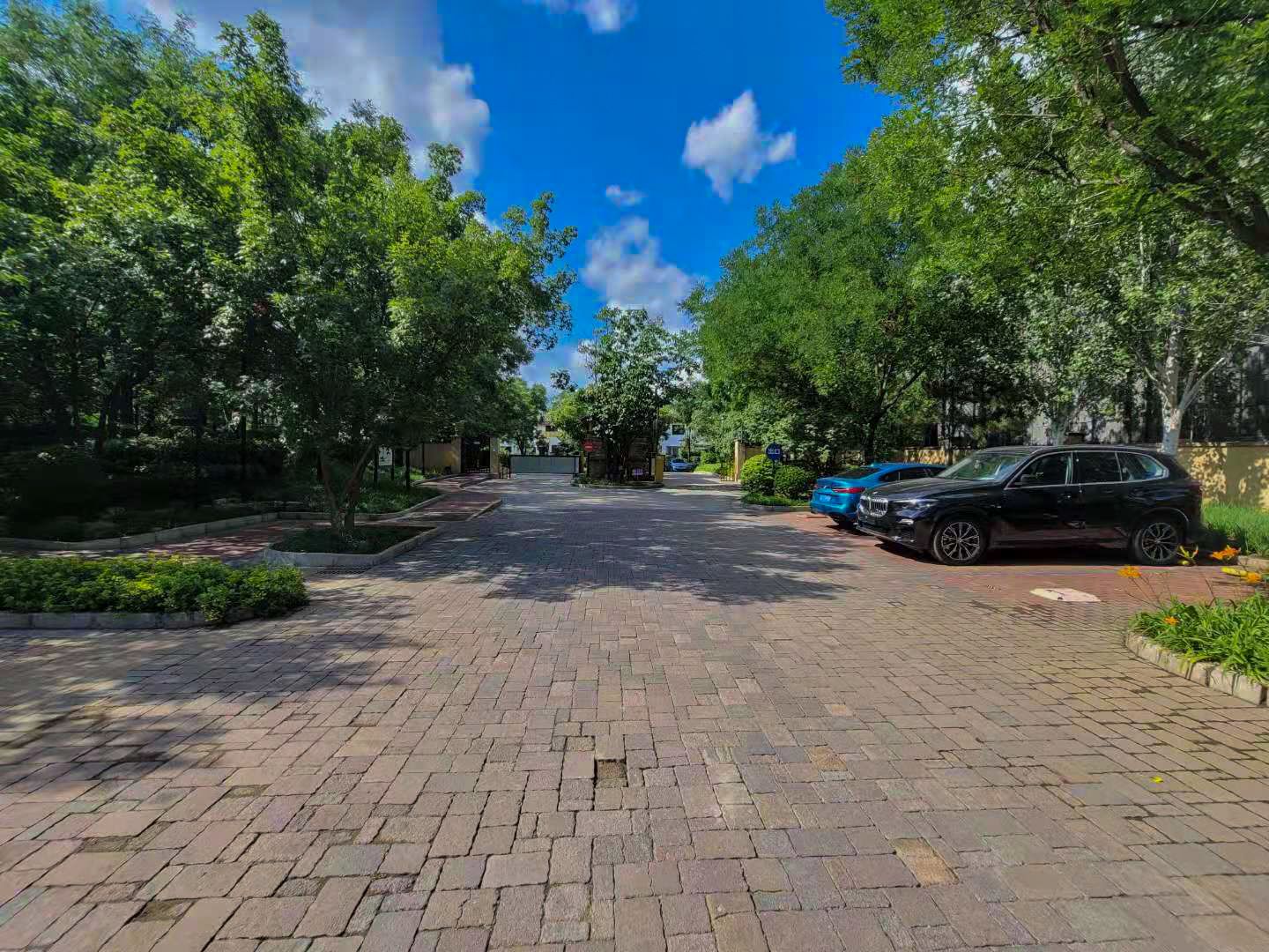 万通龙山逸墅 environment