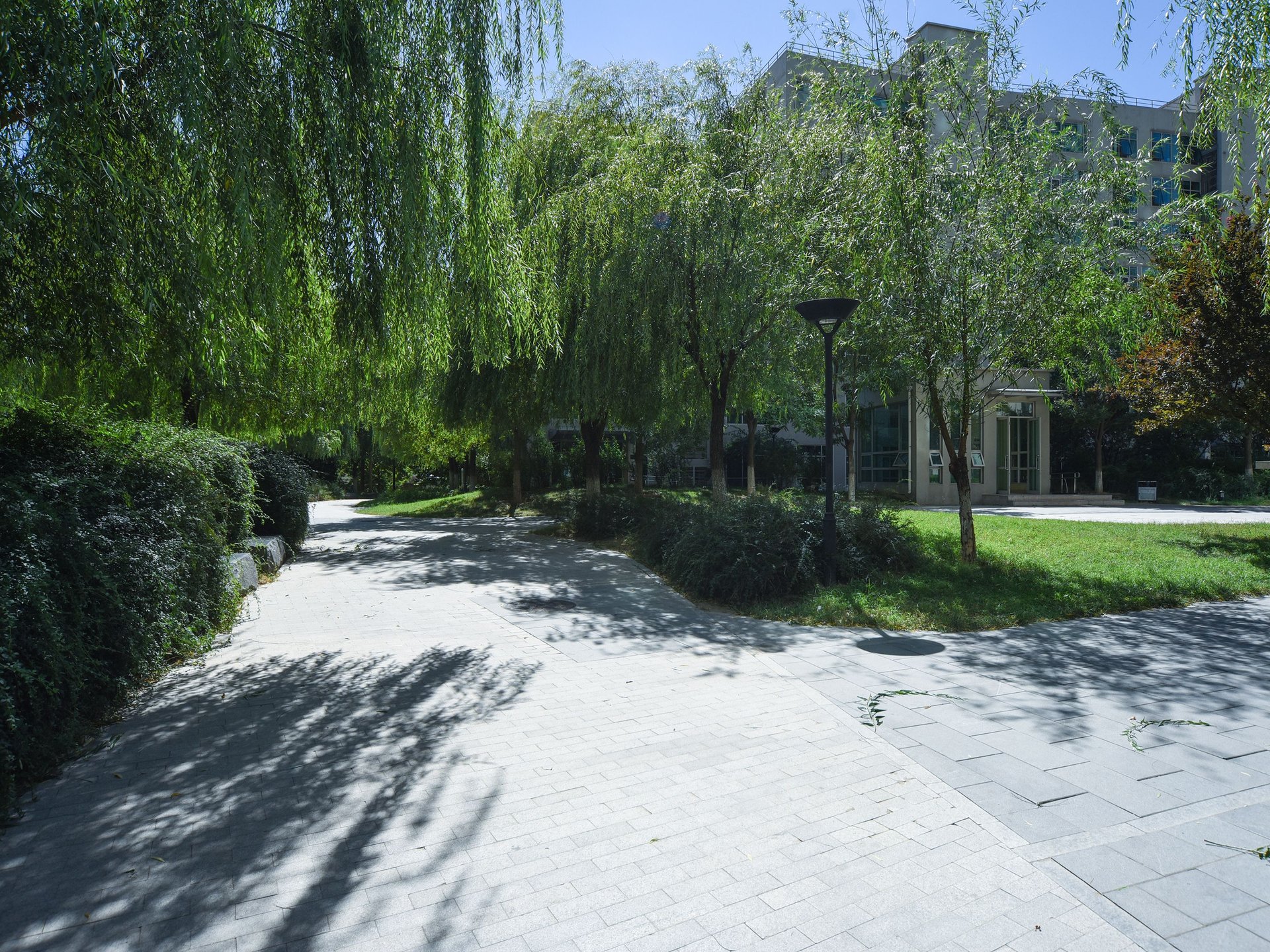 万象新天天际高尔夫 environment