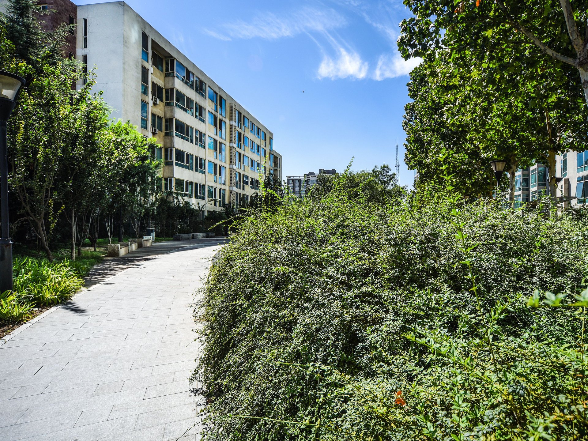 万象新天天际高尔夫 environment