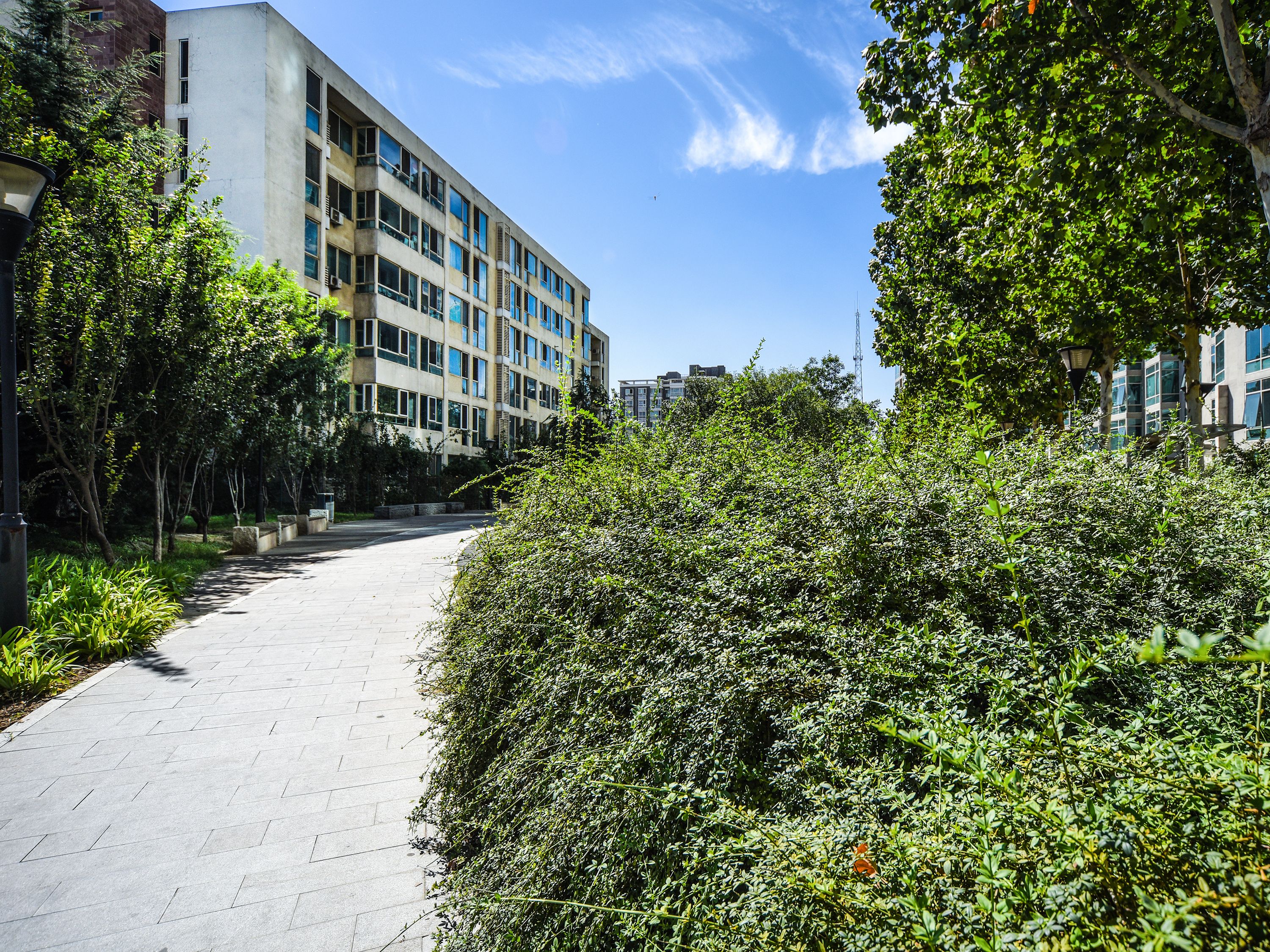 万象新天天际高尔夫 environment