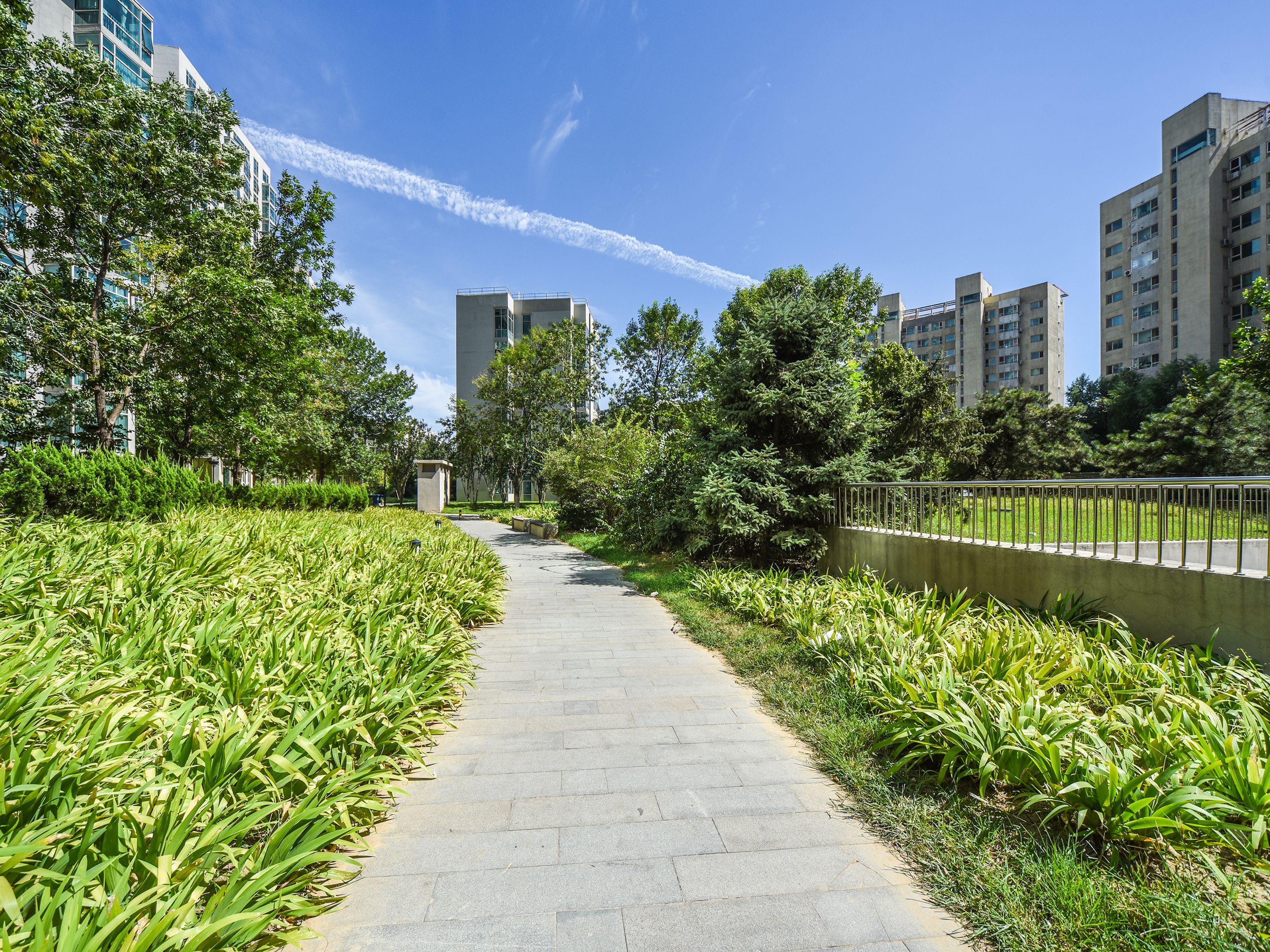 万象新天天际高尔夫 environment