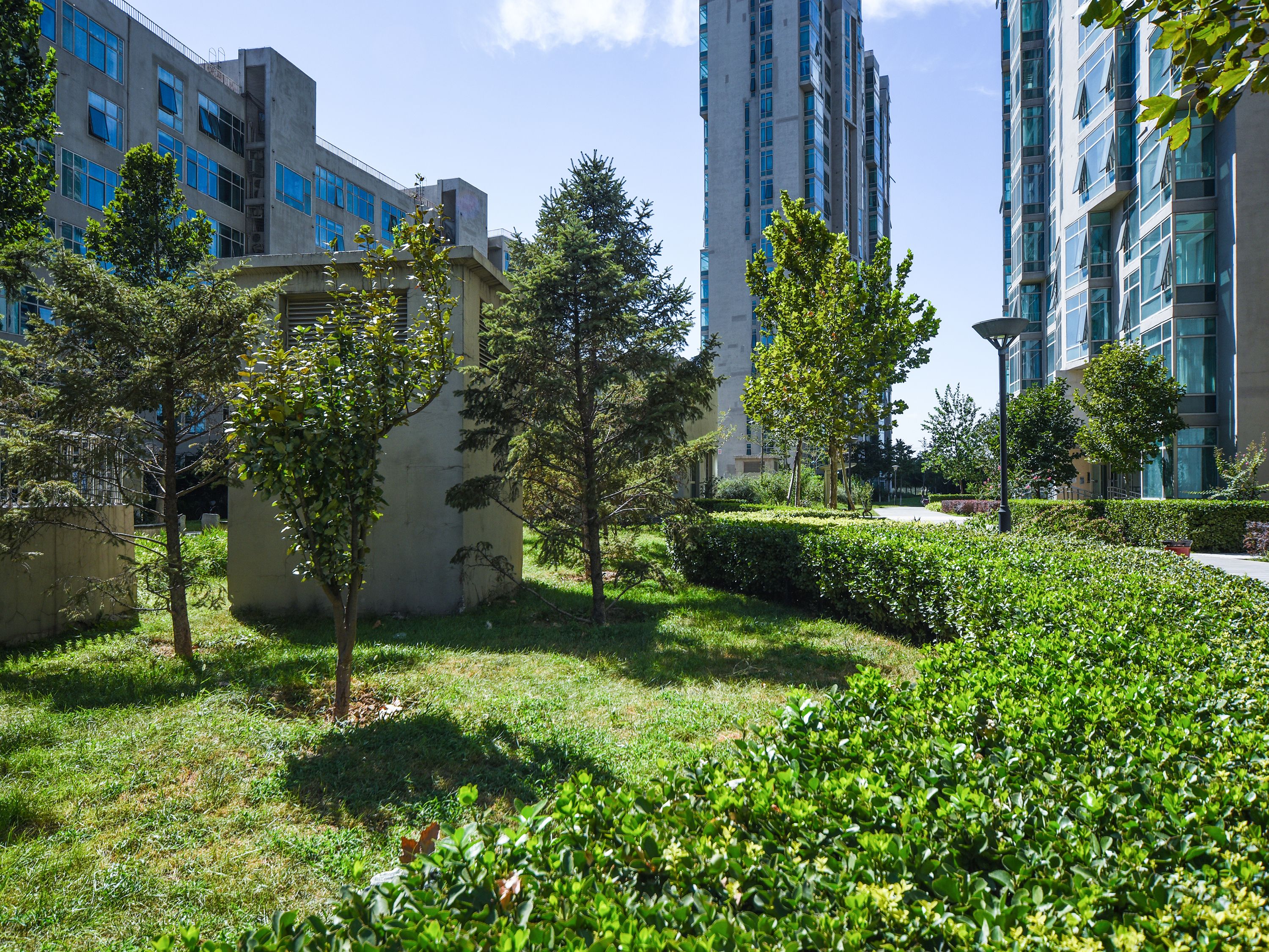 万象新天天际高尔夫 environment