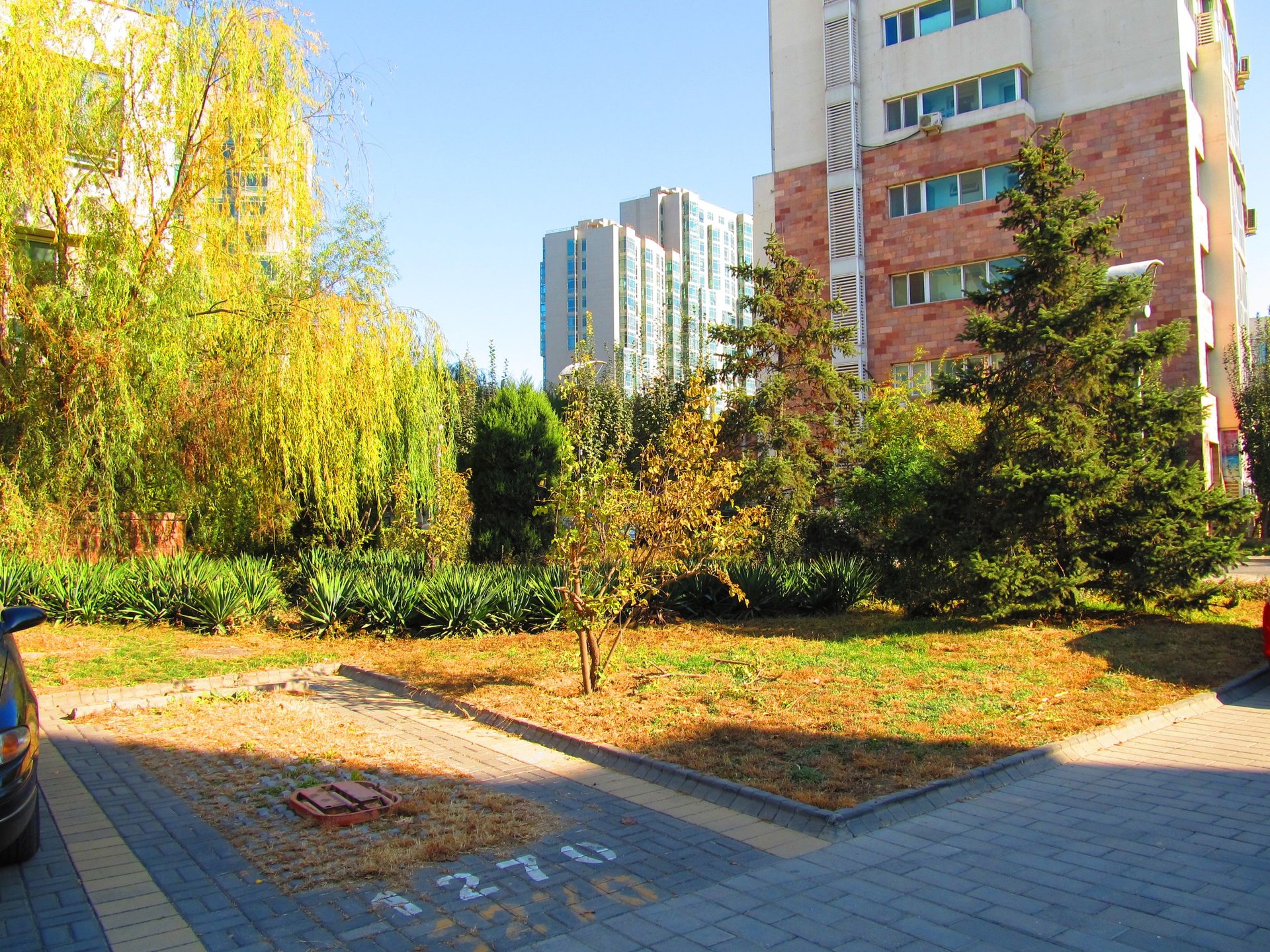 万象新天一区 environment