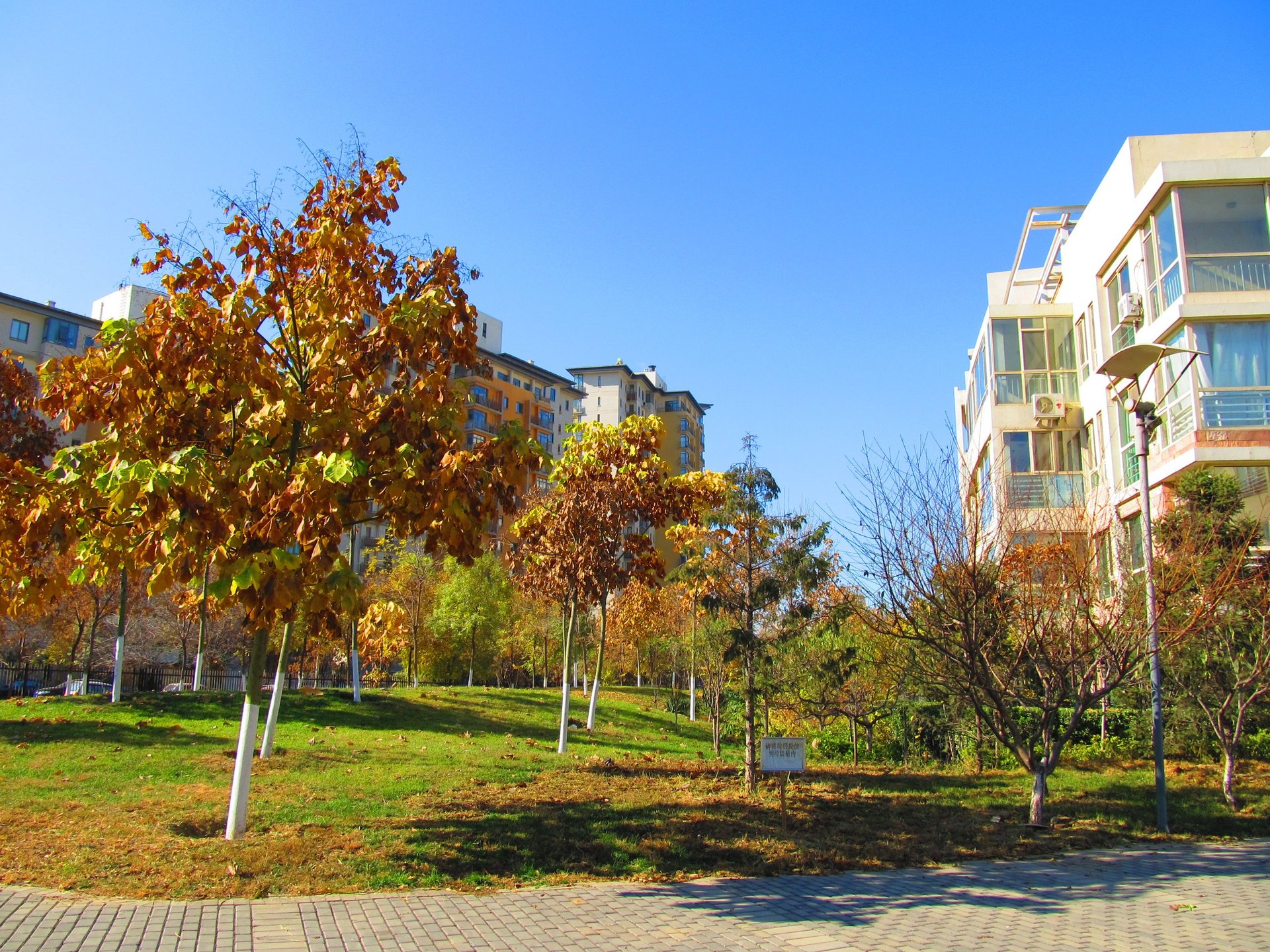 万象新天一区 environment