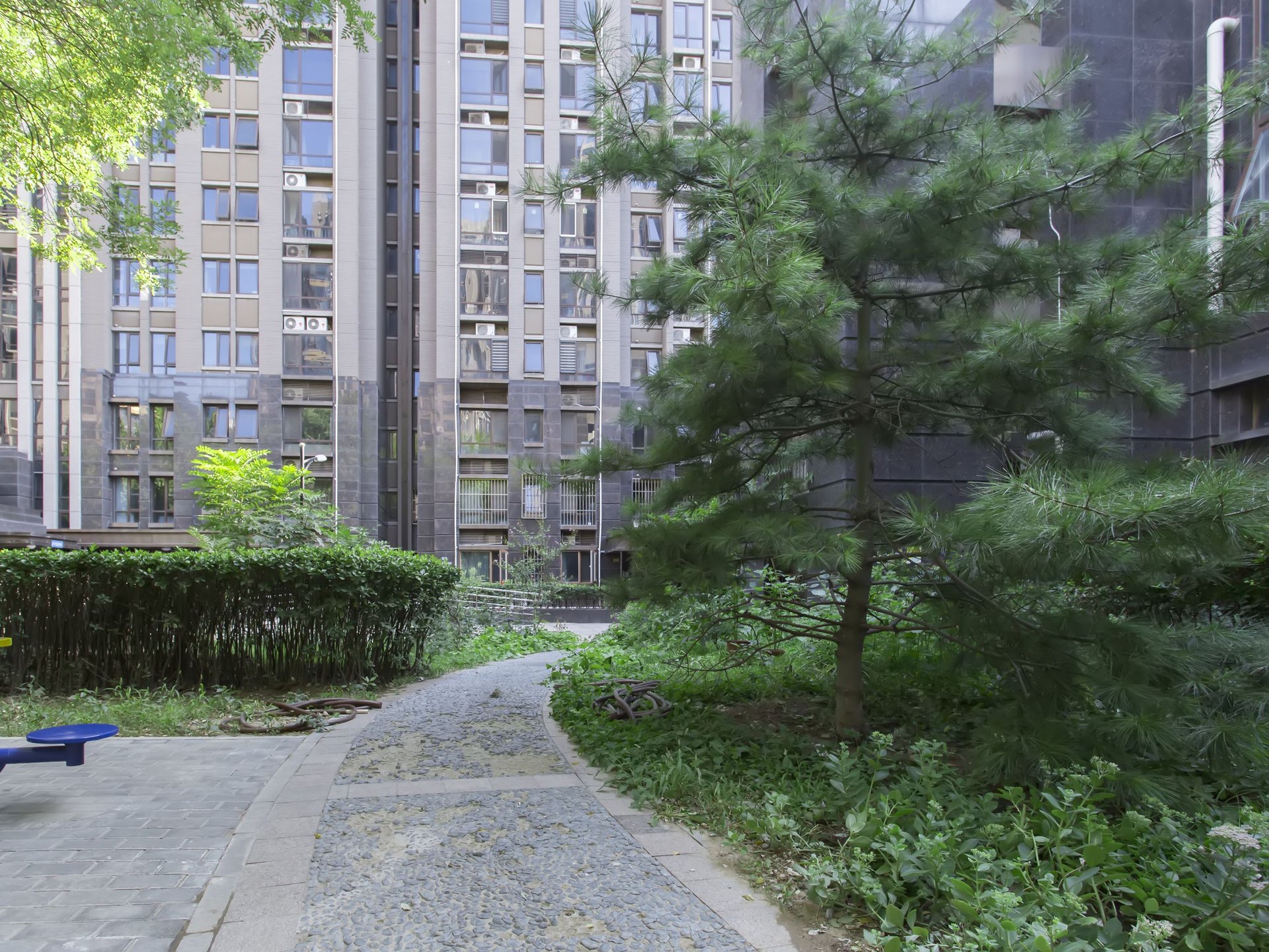 威尔夏大道 environment