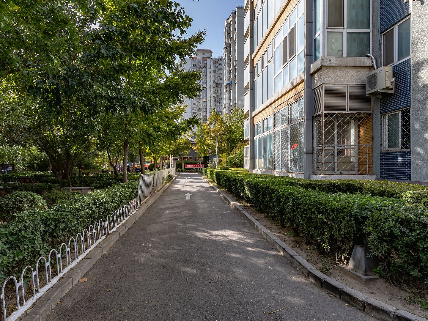 未来明珠 environment