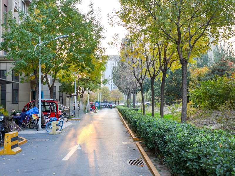 庑殿家苑A区 environment