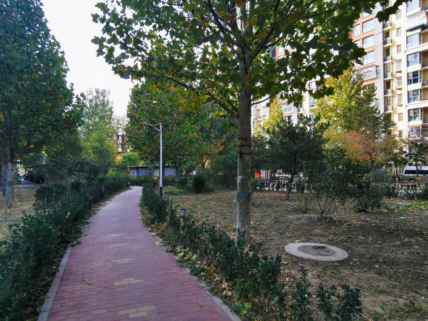 五福玲珑居南区 environment