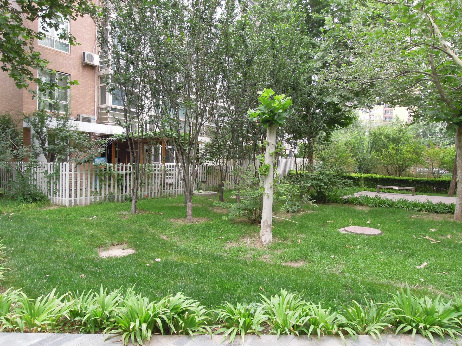 夏季星空 environment