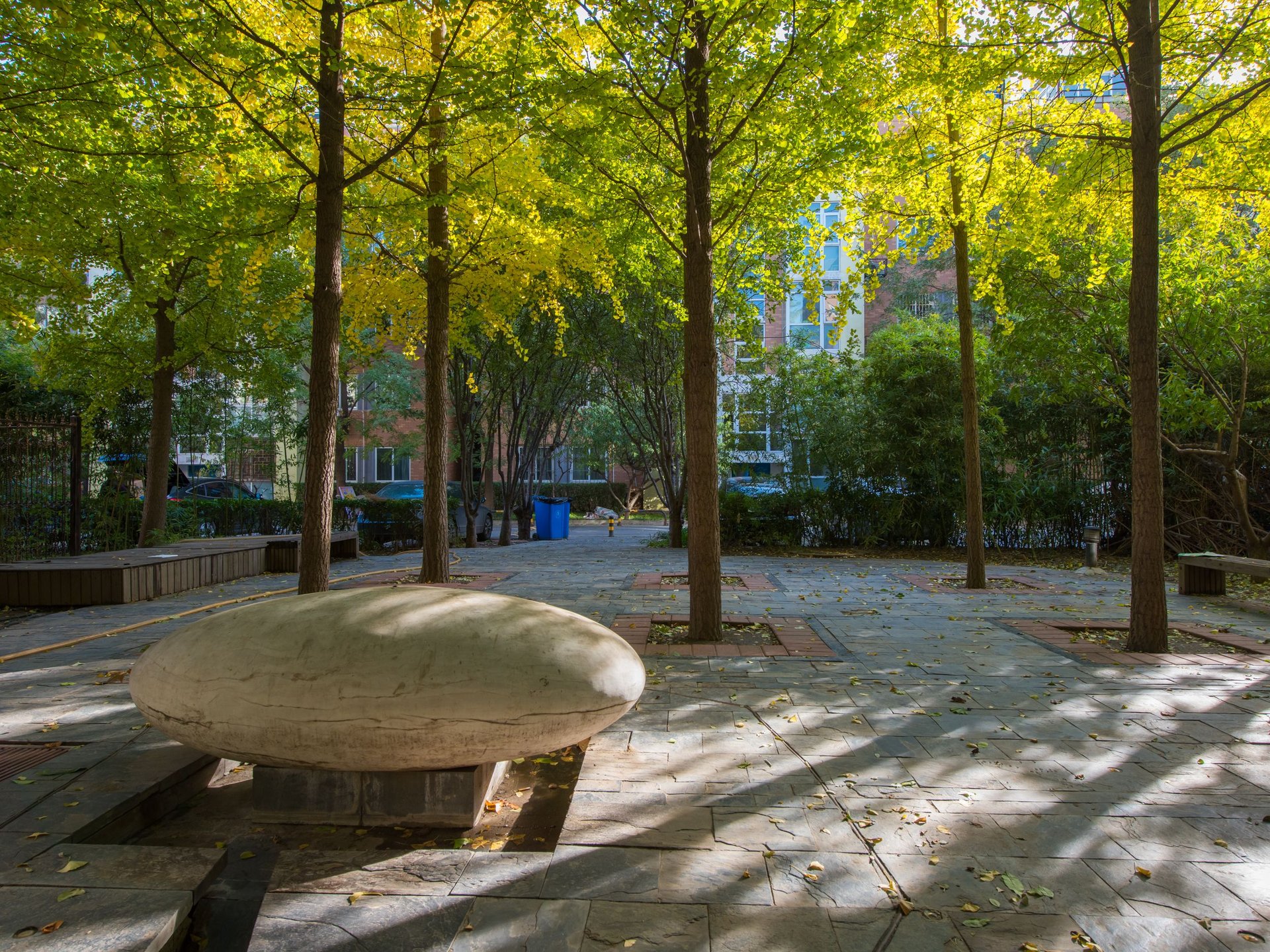 夏季星空 environment