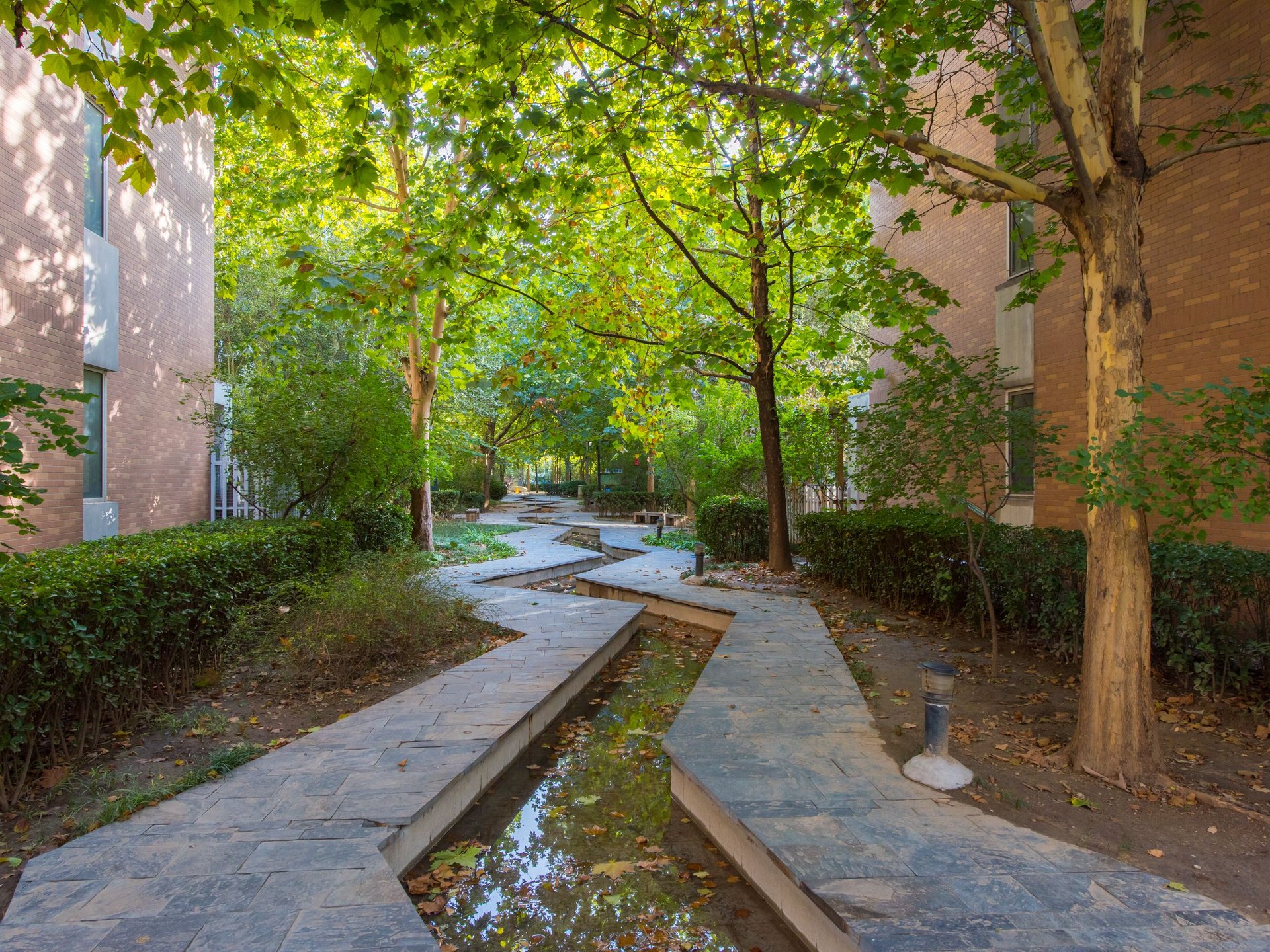 夏季星空 environment