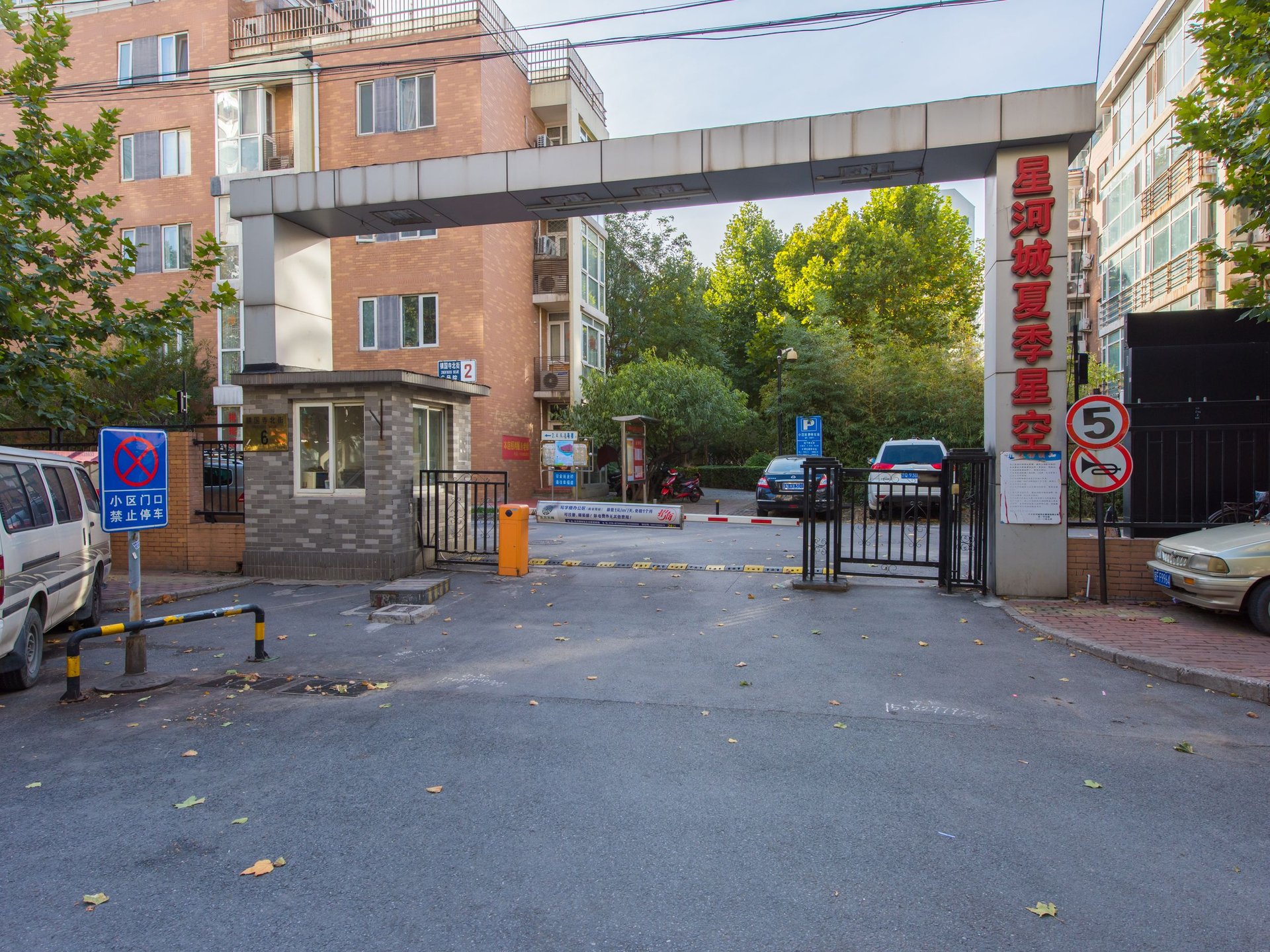 夏季星空 environment