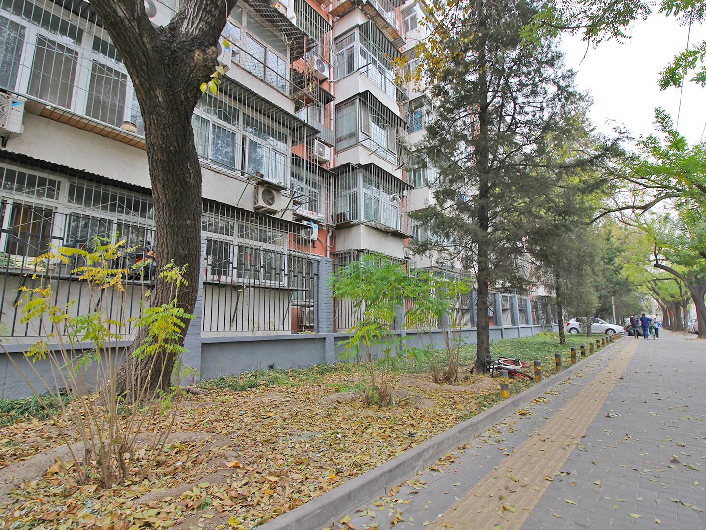 香河园中里 environment