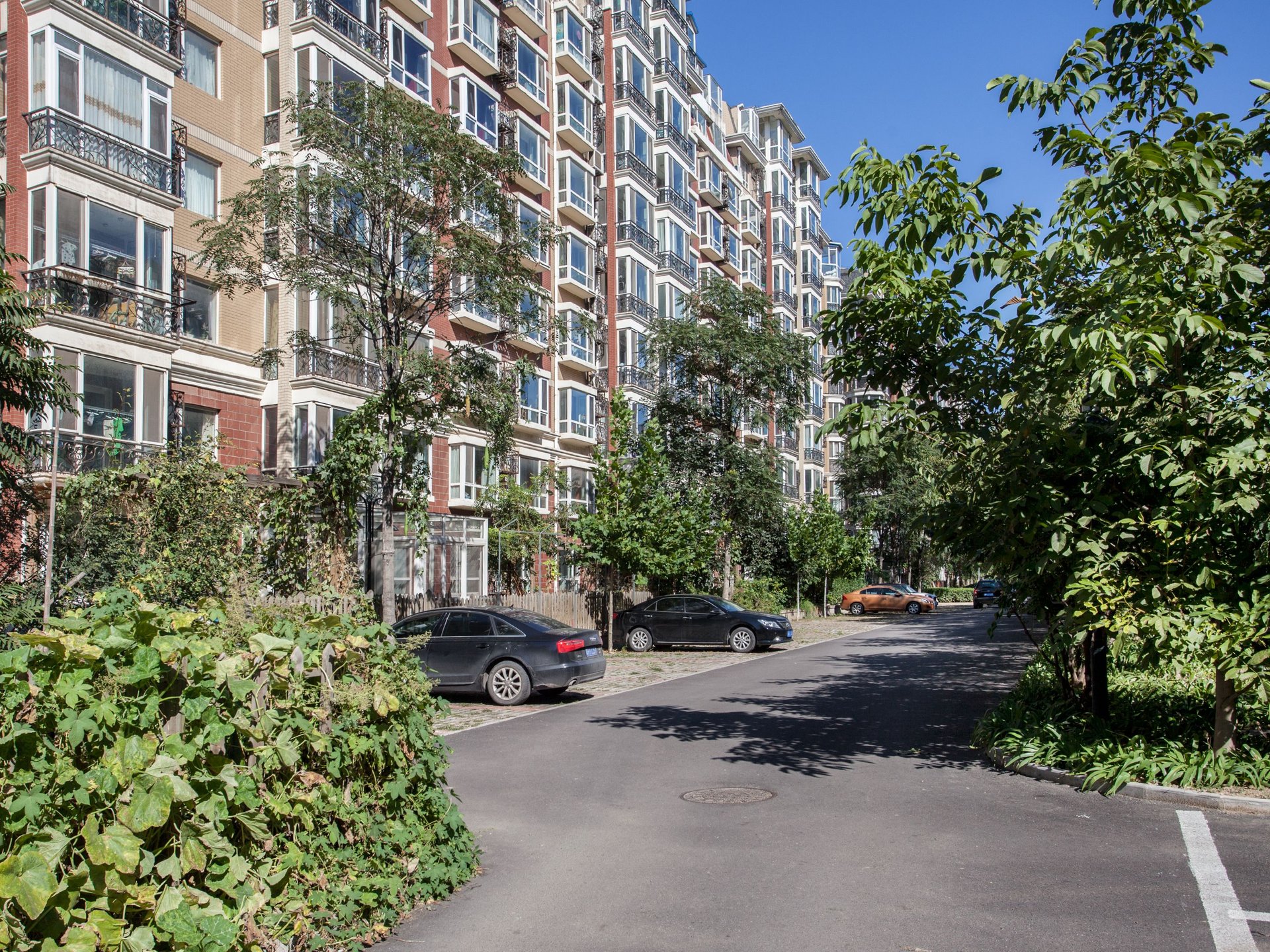 香花畦家园 environment