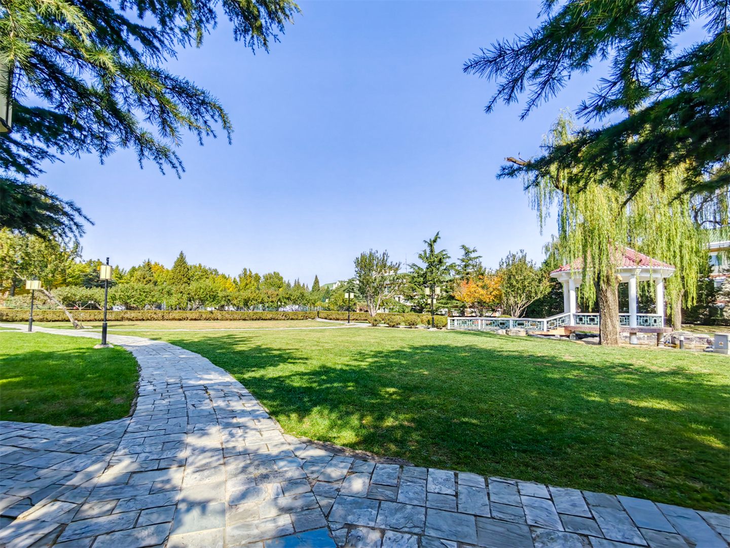 香江花园 environment