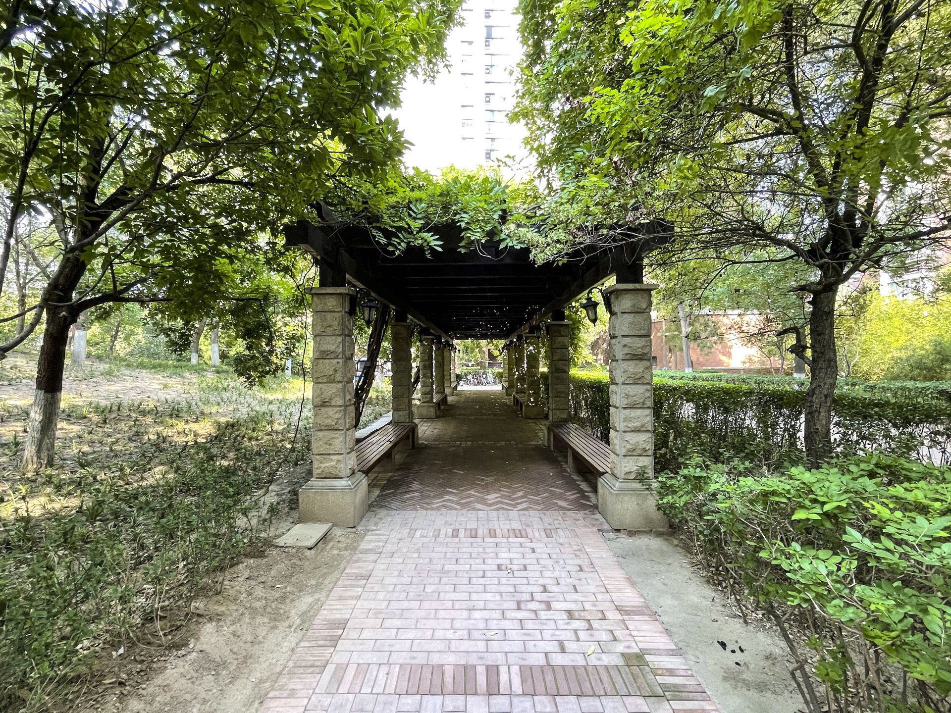 橡树湾一期 environment