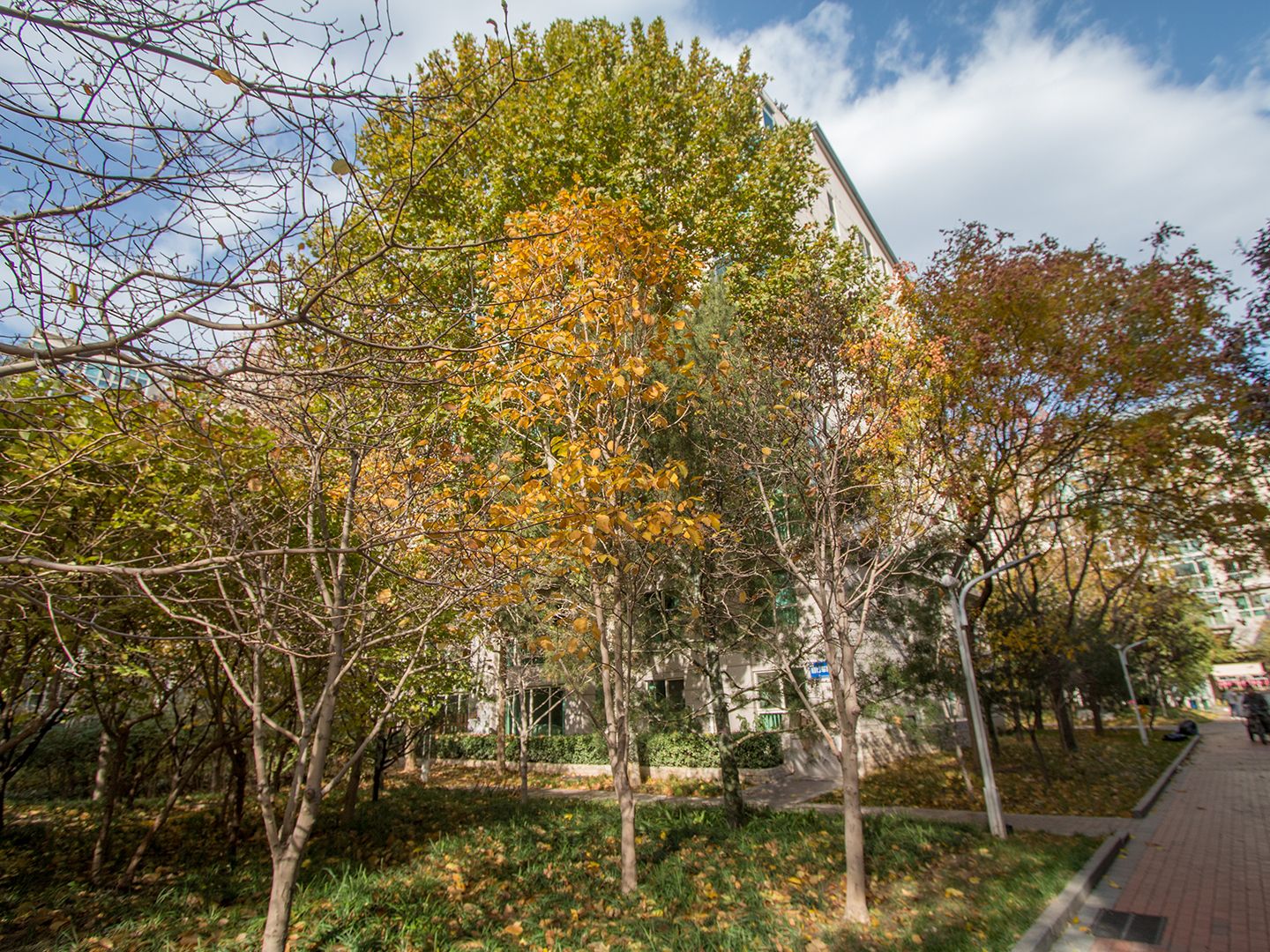 西城晶华 environment