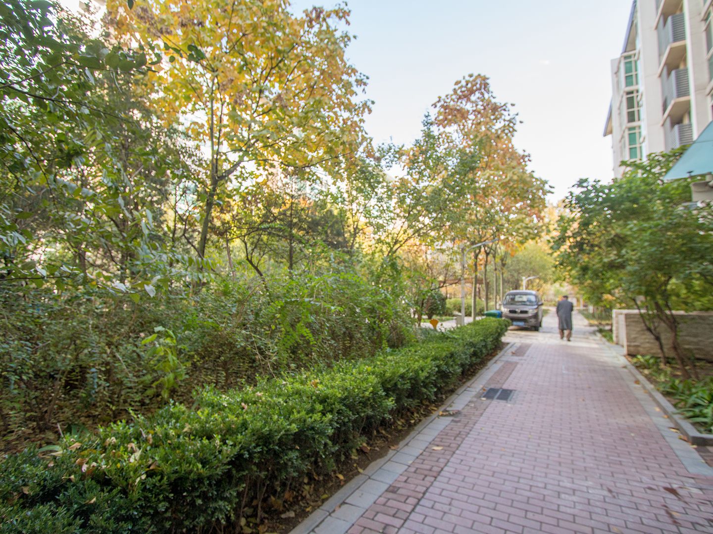 西城晶华 environment