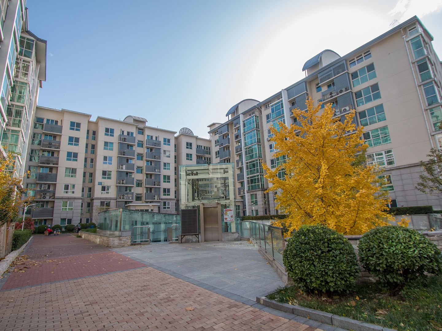 西城晶华 environment