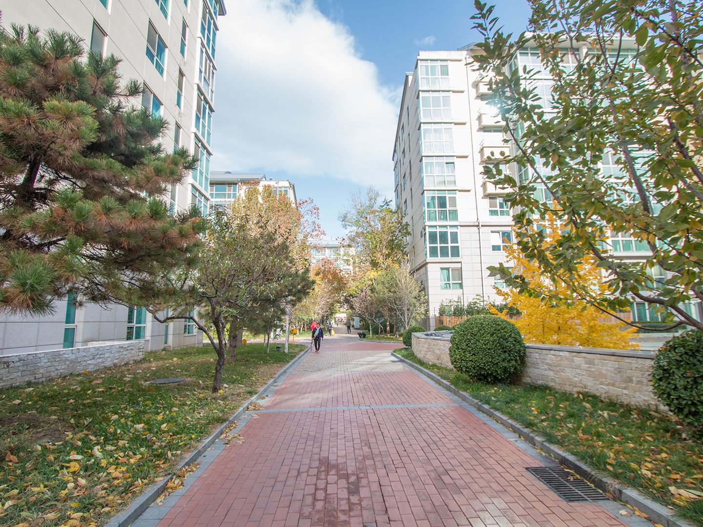 西城晶华 environment