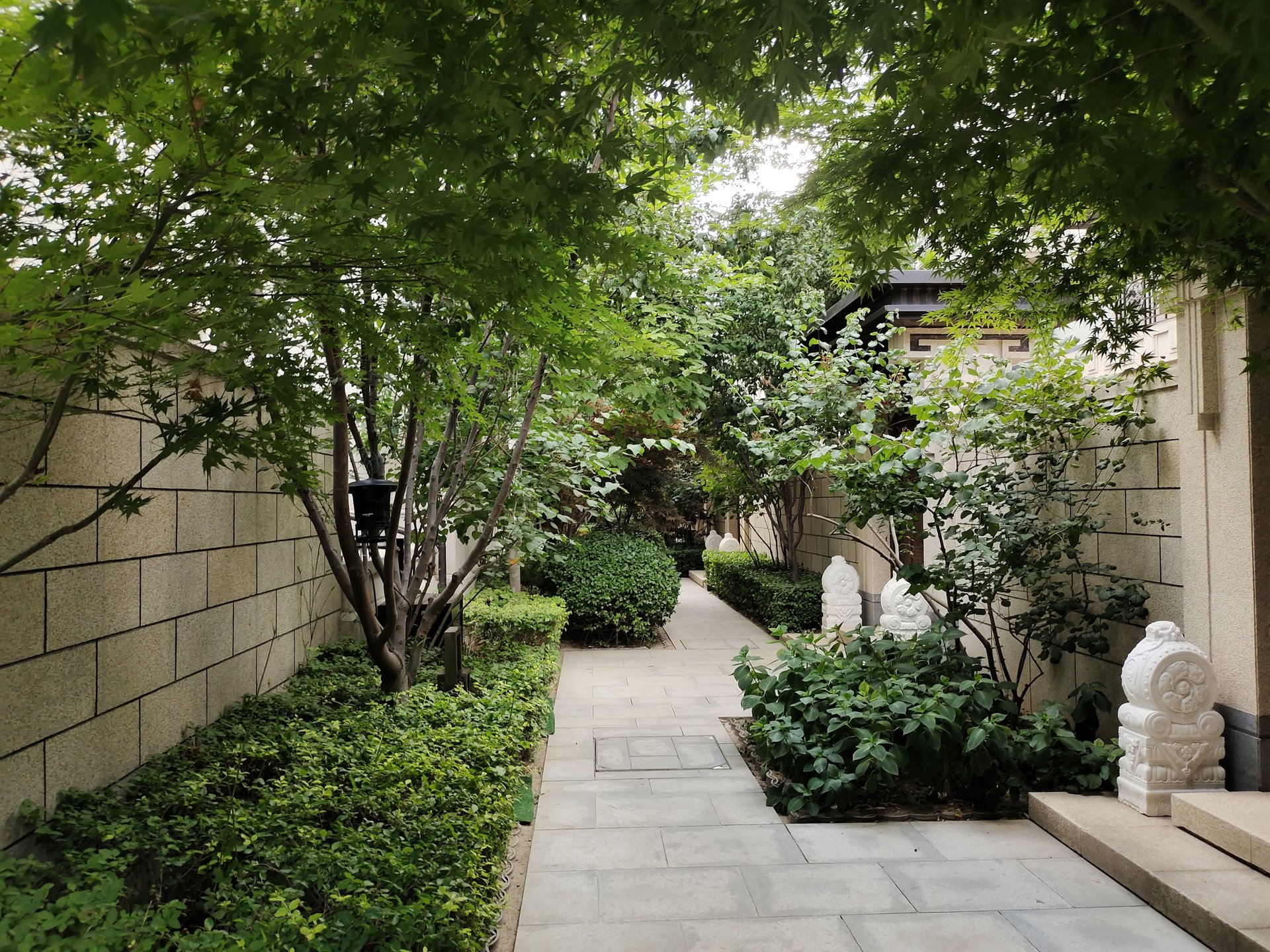 西宸原著 environment