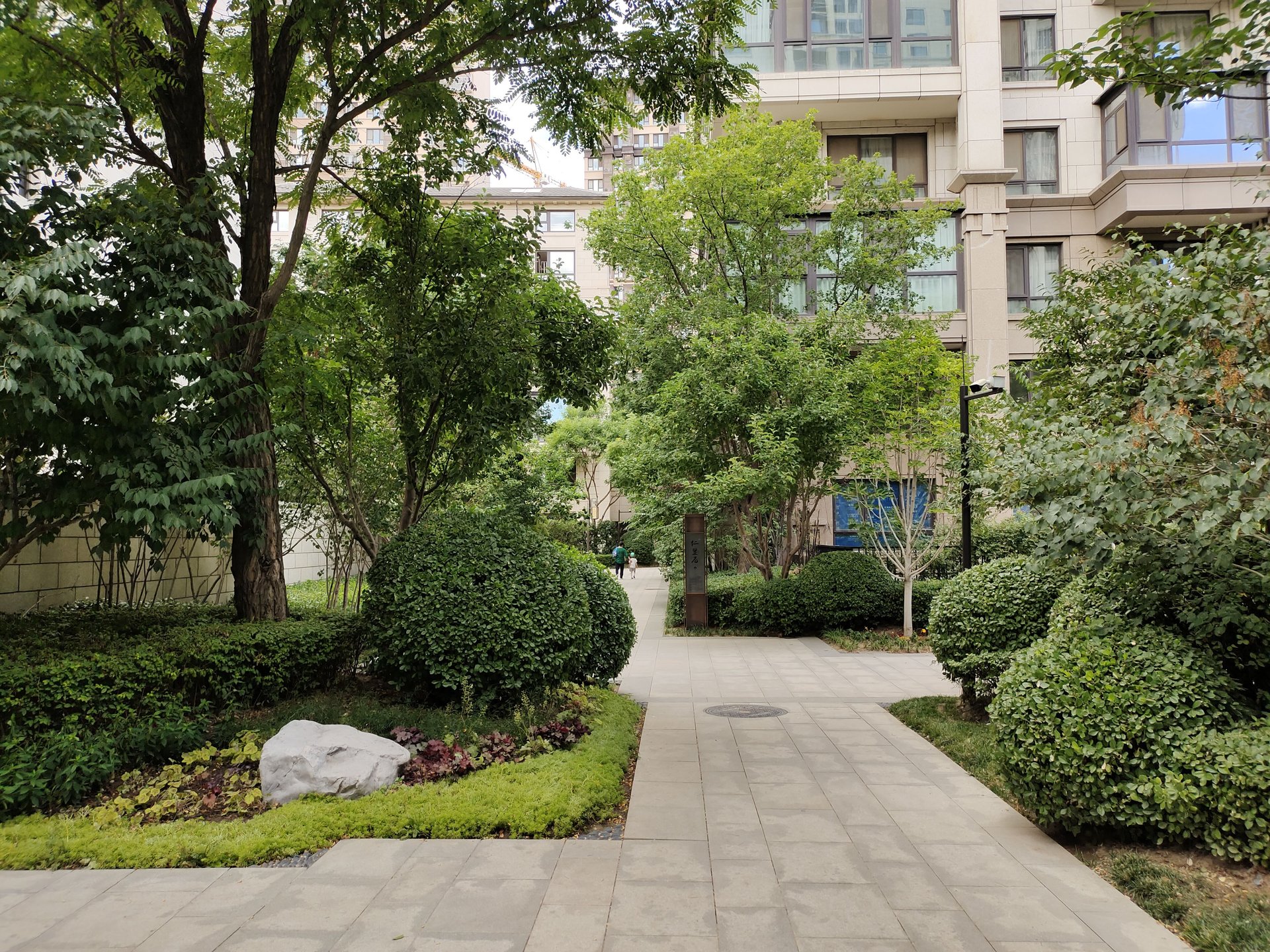 西宸原著 environment