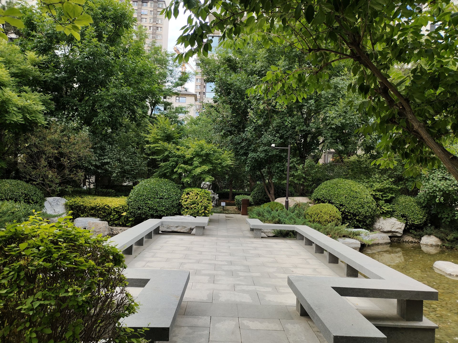 西宸原著 environment