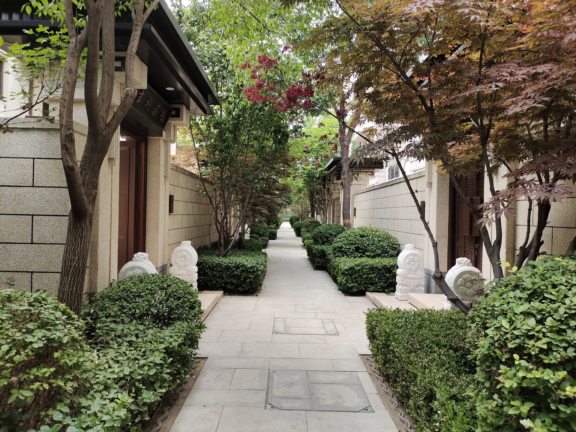 西宸原著 environment