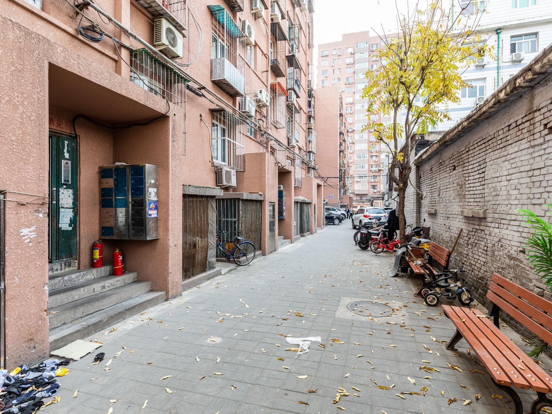 西大望路 environment