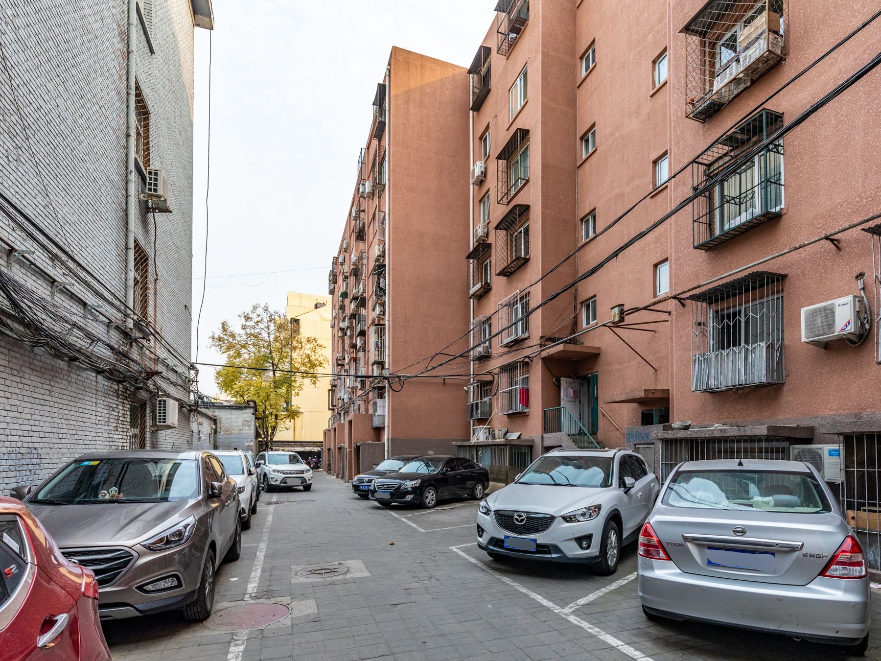 西大望路 environment