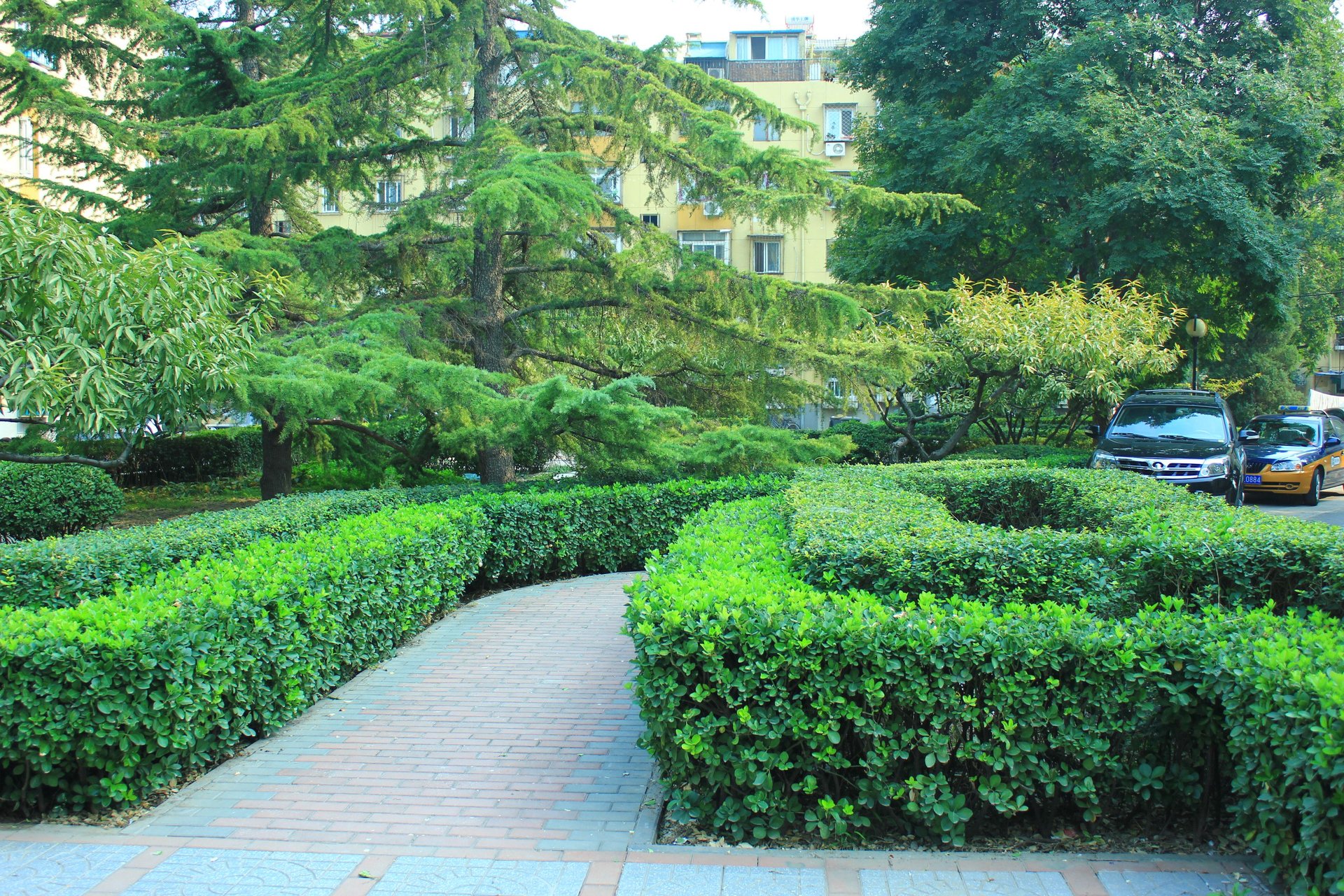 西大望路 environment