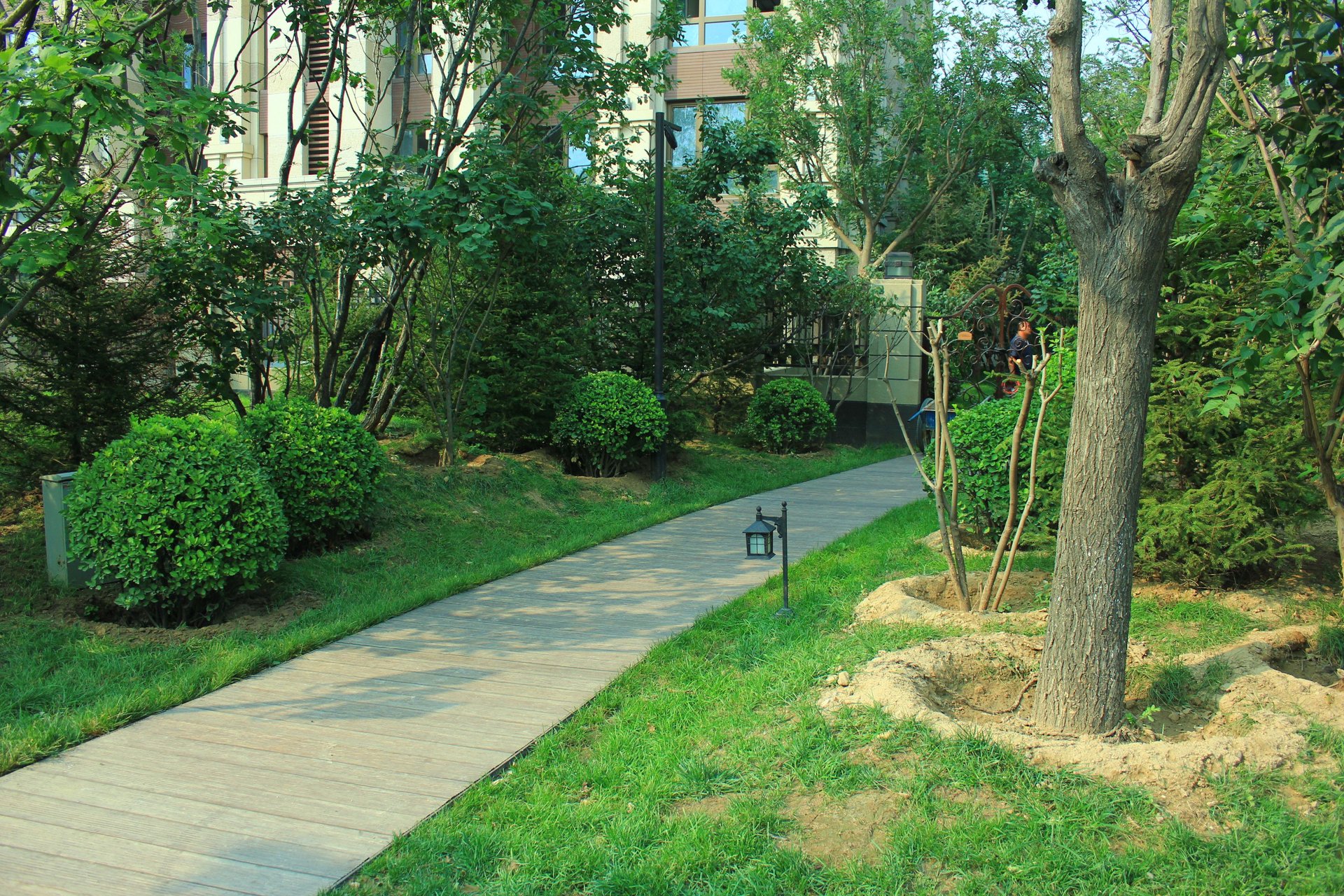 西大望路 environment